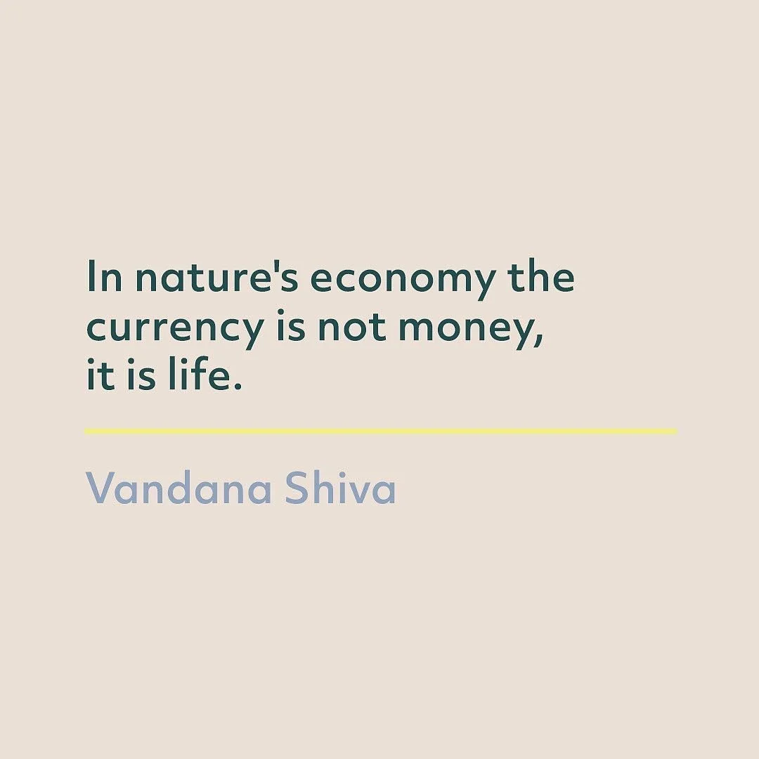 &ldquo;In nature's economy the currency is not money, it is life. Whenever we engage in consumption or production patterns which take more than we need, we are engaging in violence.&rdquo; - Vandana Shiva

Earth Democracy Justice, Sustainability and 