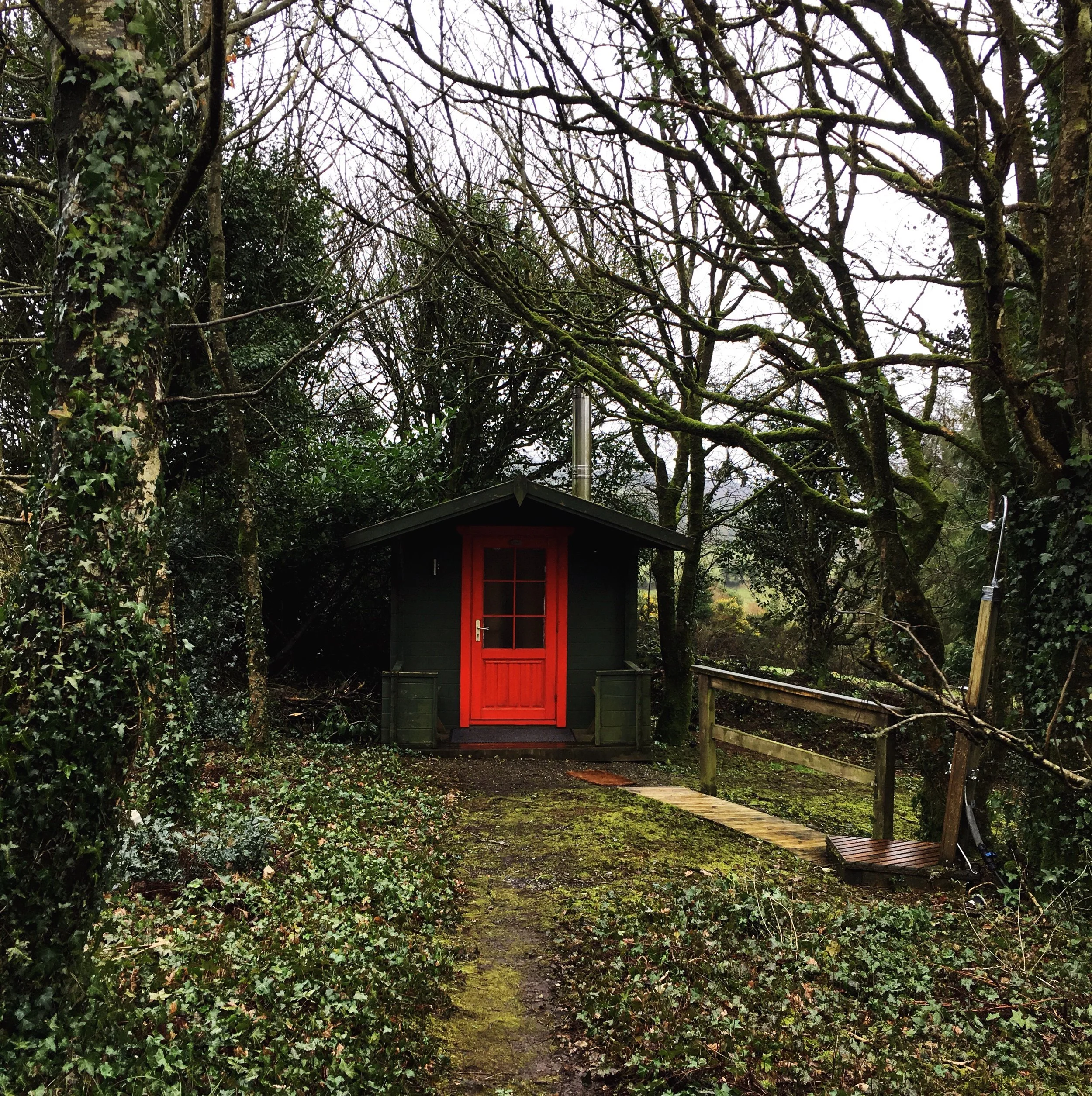 The little gem tucked away behind the trees - Roy's Finnish wood-burning sauna