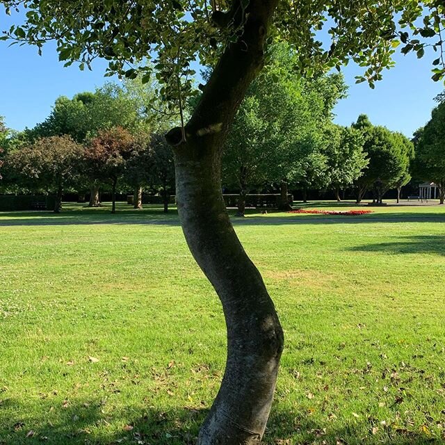 Be like a tree and stay grounded 🌳🌳🌳I know I say it a lot about connecting with nature helps us to connect with ourselves because there&rsquo;s so much to learn by observing all that nature teaches us 🌱🍃🌳 when we look at trees...how they stay g
