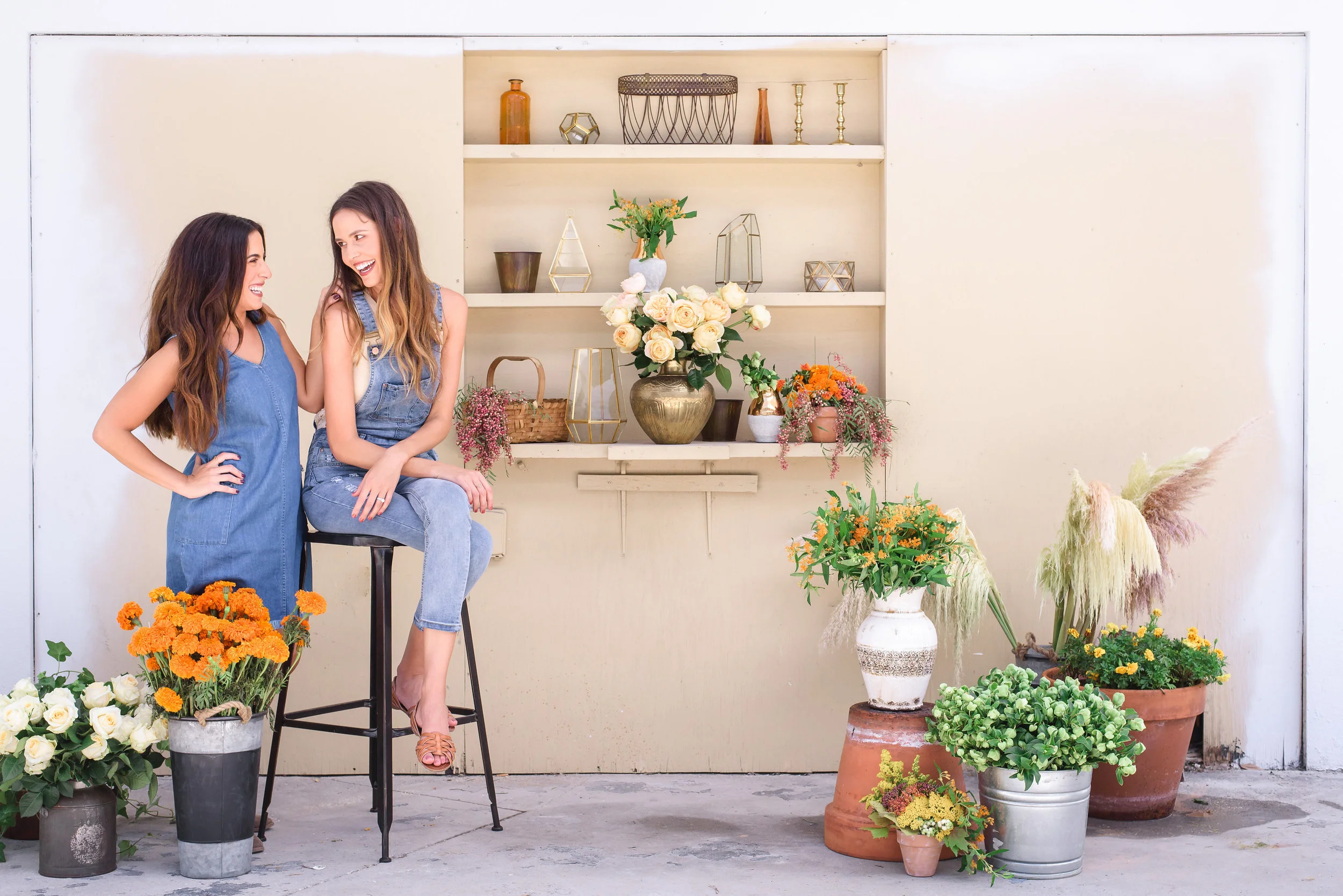 Welcome to The Marigold Blog