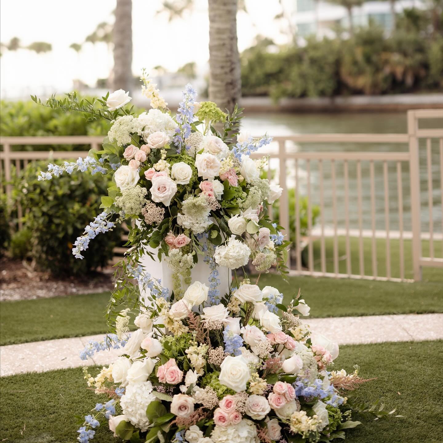 We are missing spring blooms already🌸