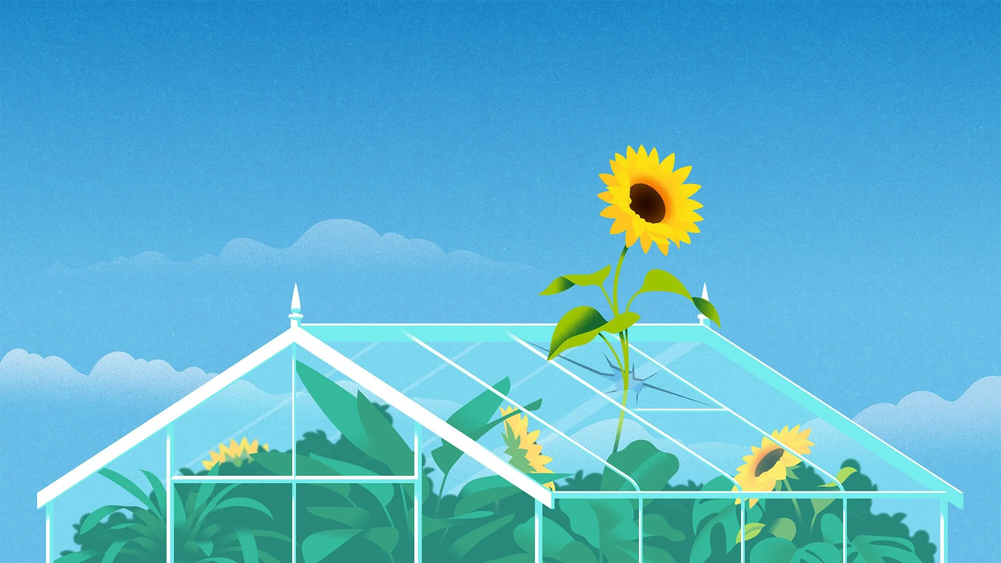 Sustainability Initiative - Harvard Business Review