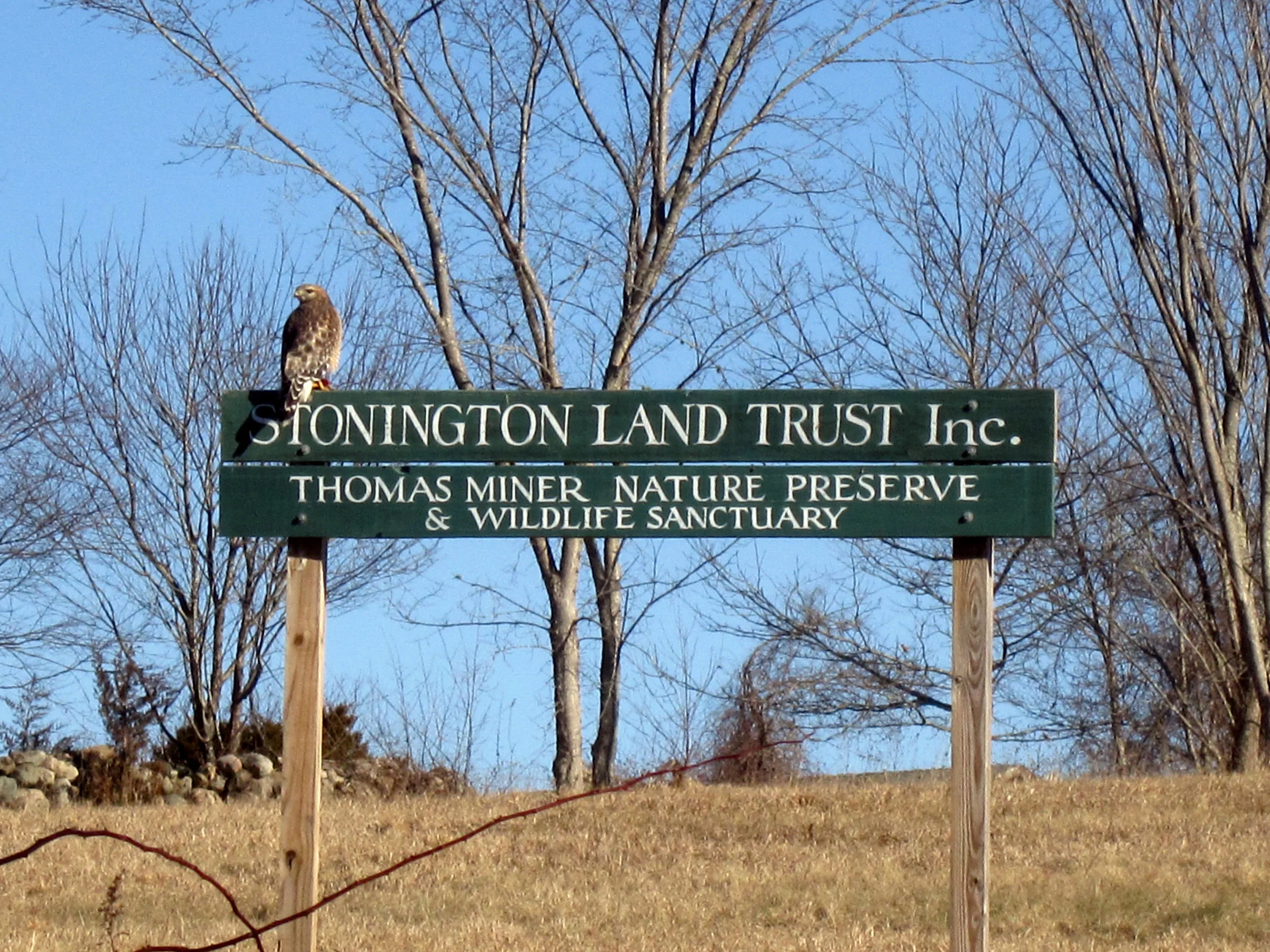 THOMAS MINER NATURE PRESERVE & WILDLIFE SANCTUARY — STONINGTON LAND TRUST