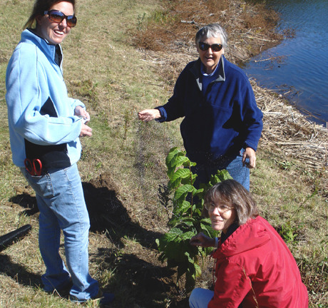 tree+planting+2010+05+small.jpg