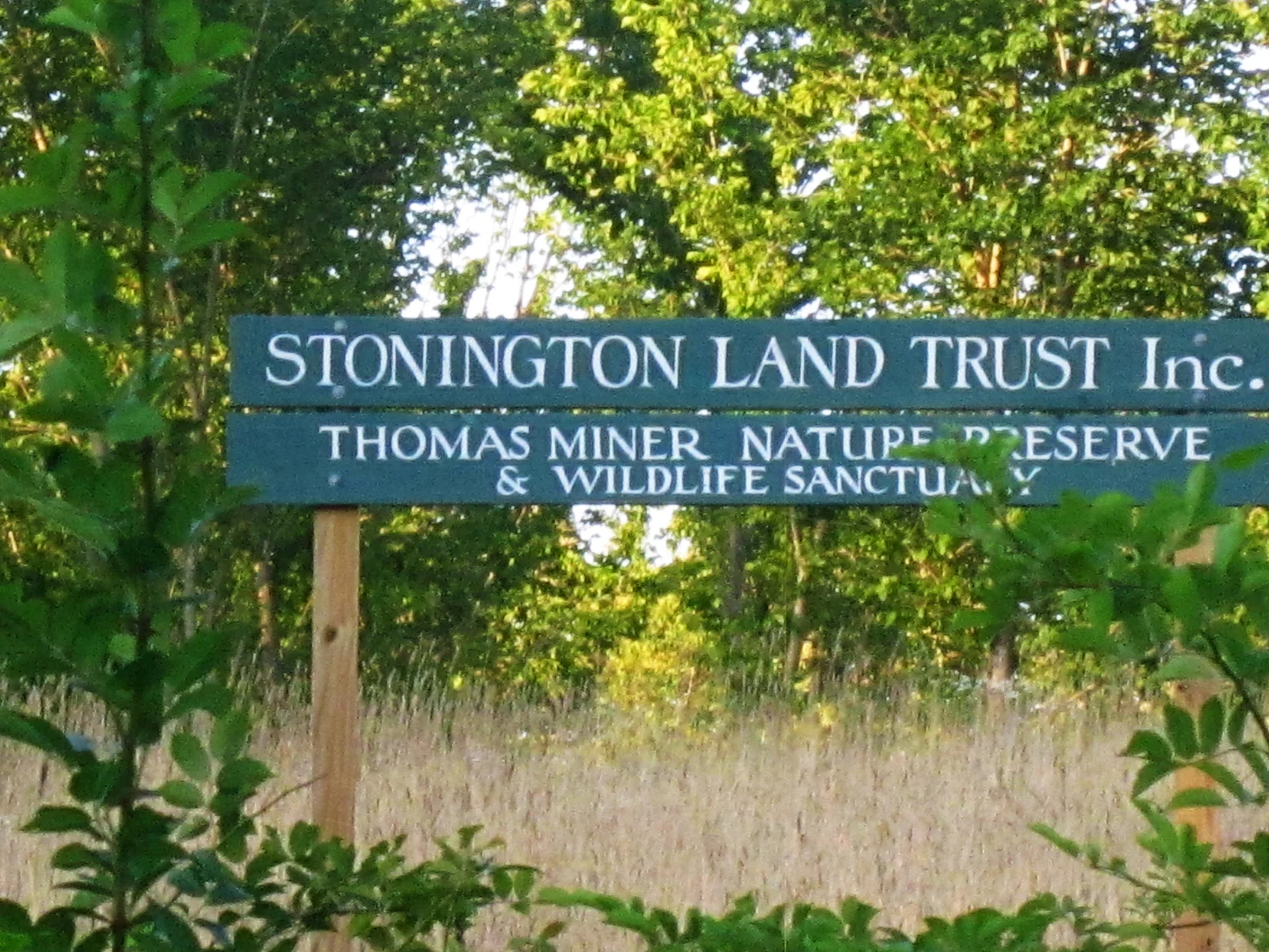 A Summer Afternoon — STONINGTON LAND TRUST