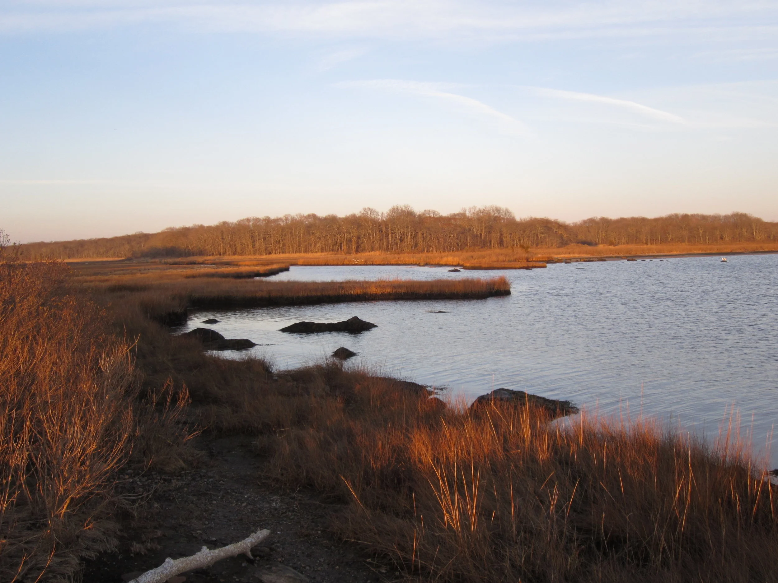 barn island tidal marsh photo: S. Simm