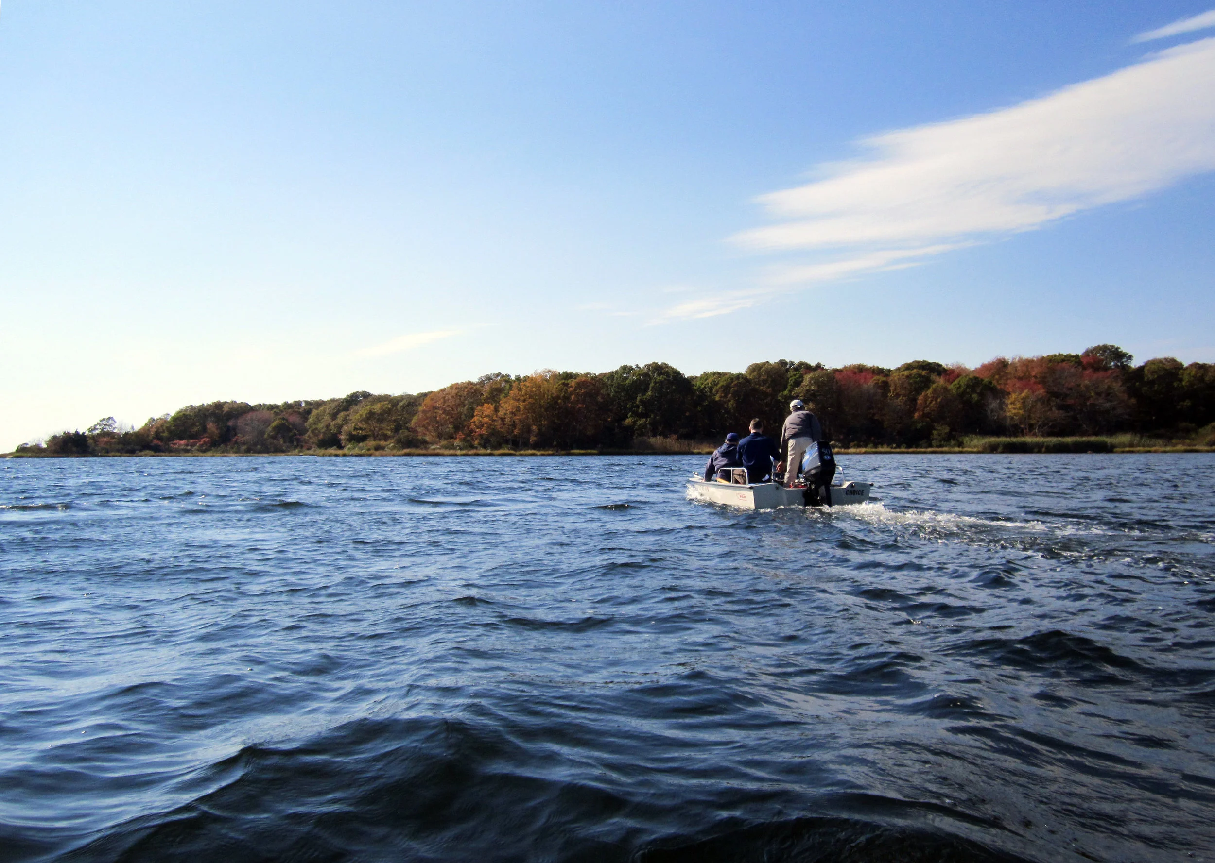 Davis Farm ~ Partial Shoreline View Approaching the Cove photo: S. Simm