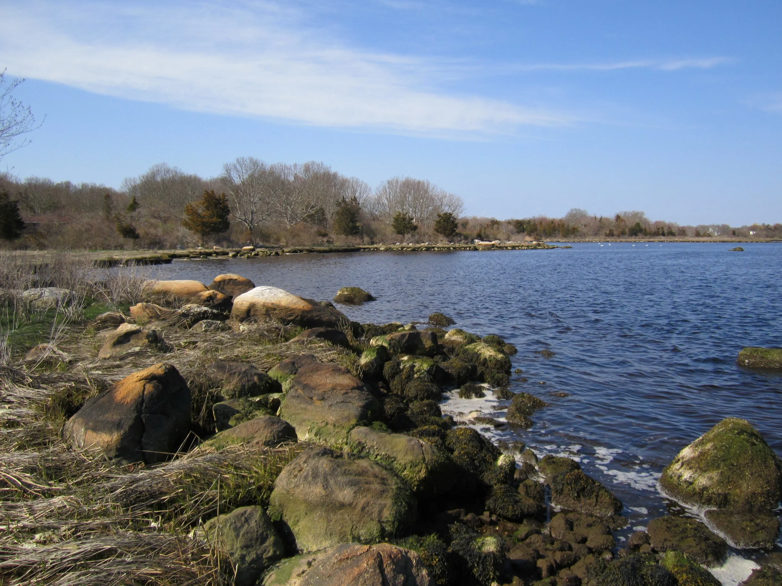 Davis Farm Cove  S. Simm.jpg