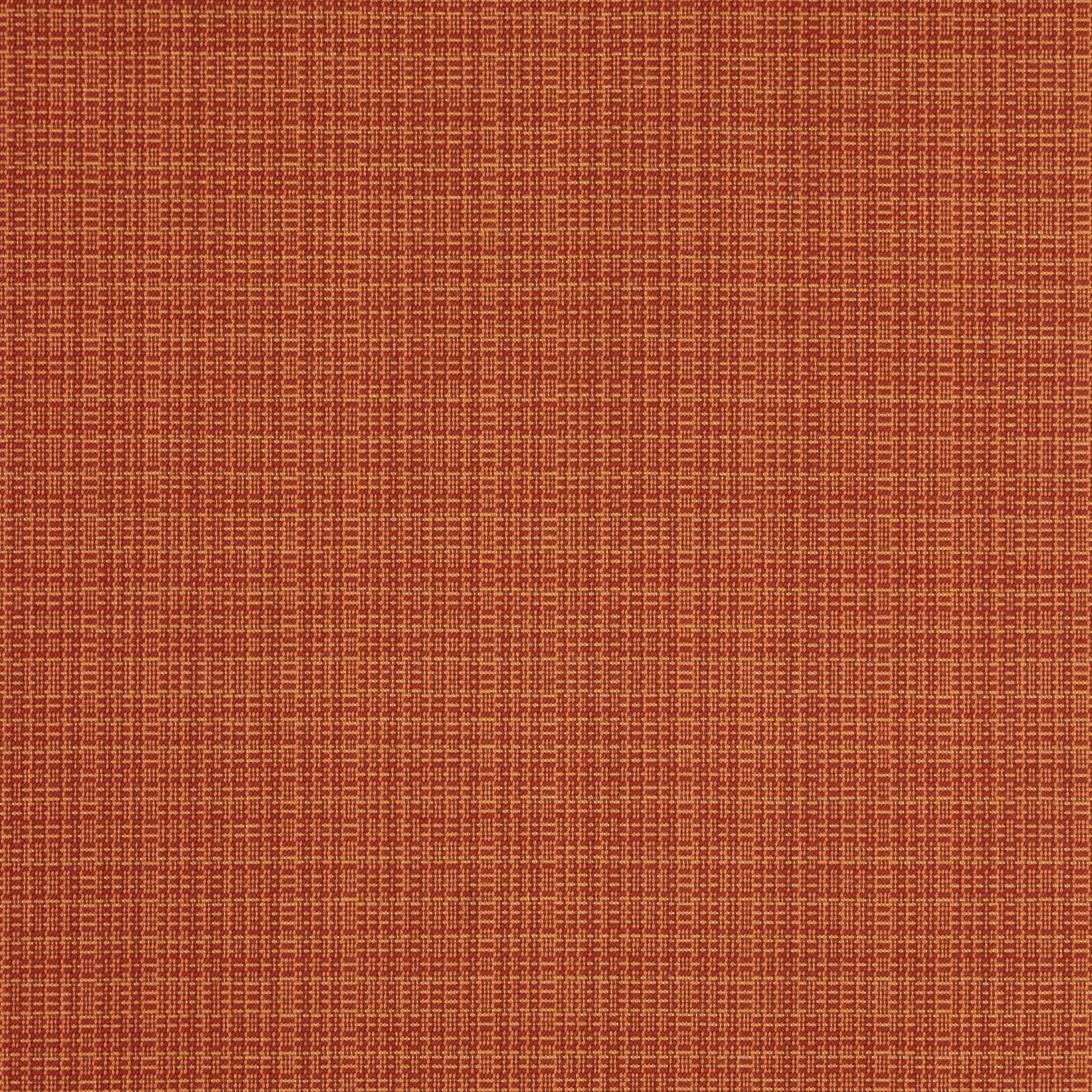 AYTRIBECSPICE.JPG