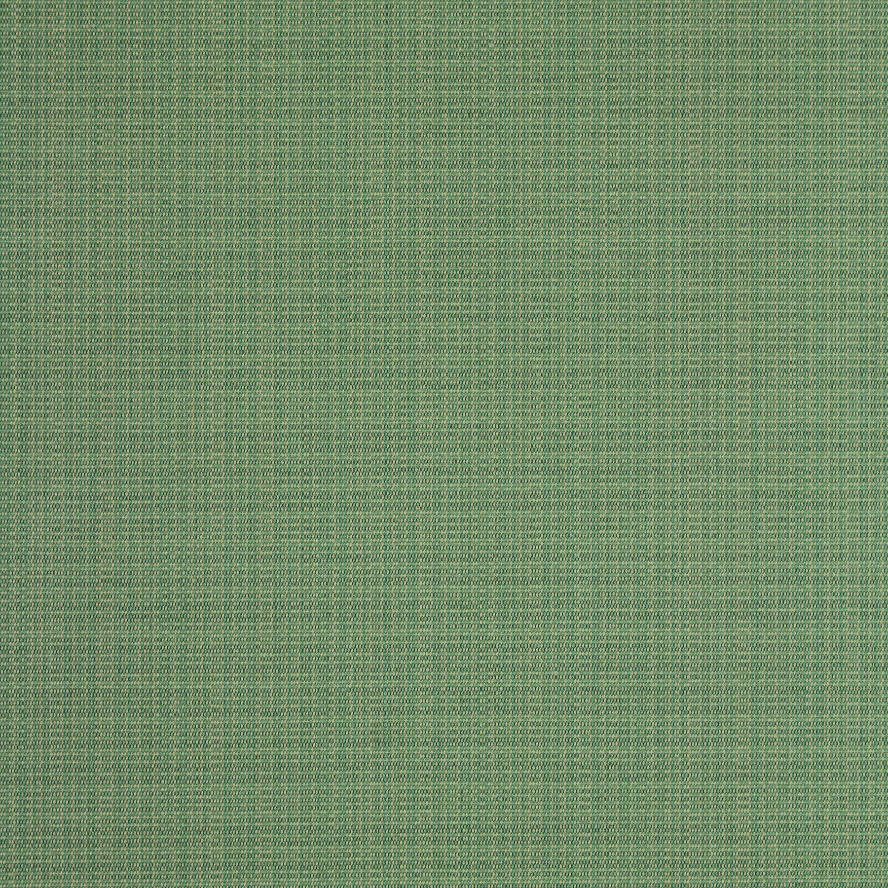 AYTRIBECCA-BLUEGRASS