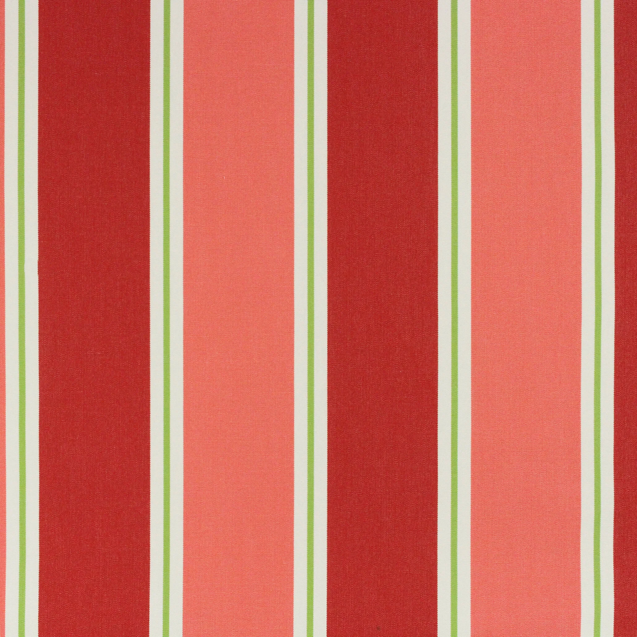 DRUMMONDFLAMINGO1.JPG