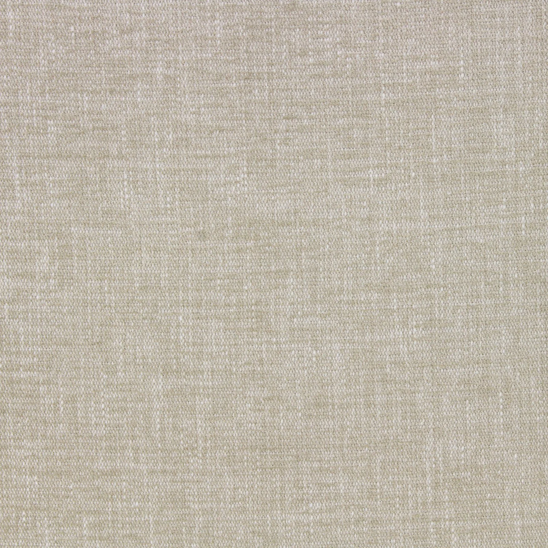 Dacus - Linen