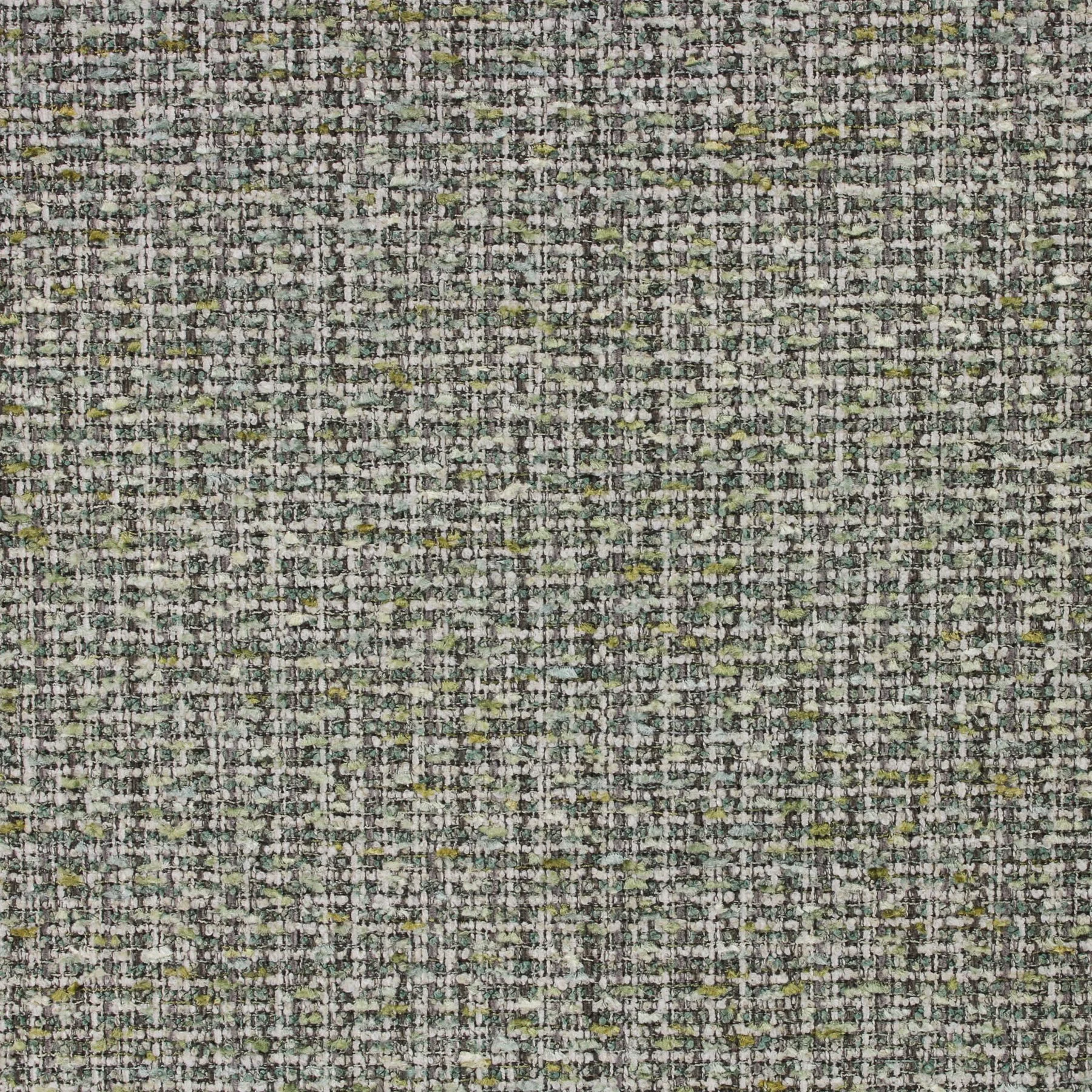 TERRAPINAGAVE.JPG