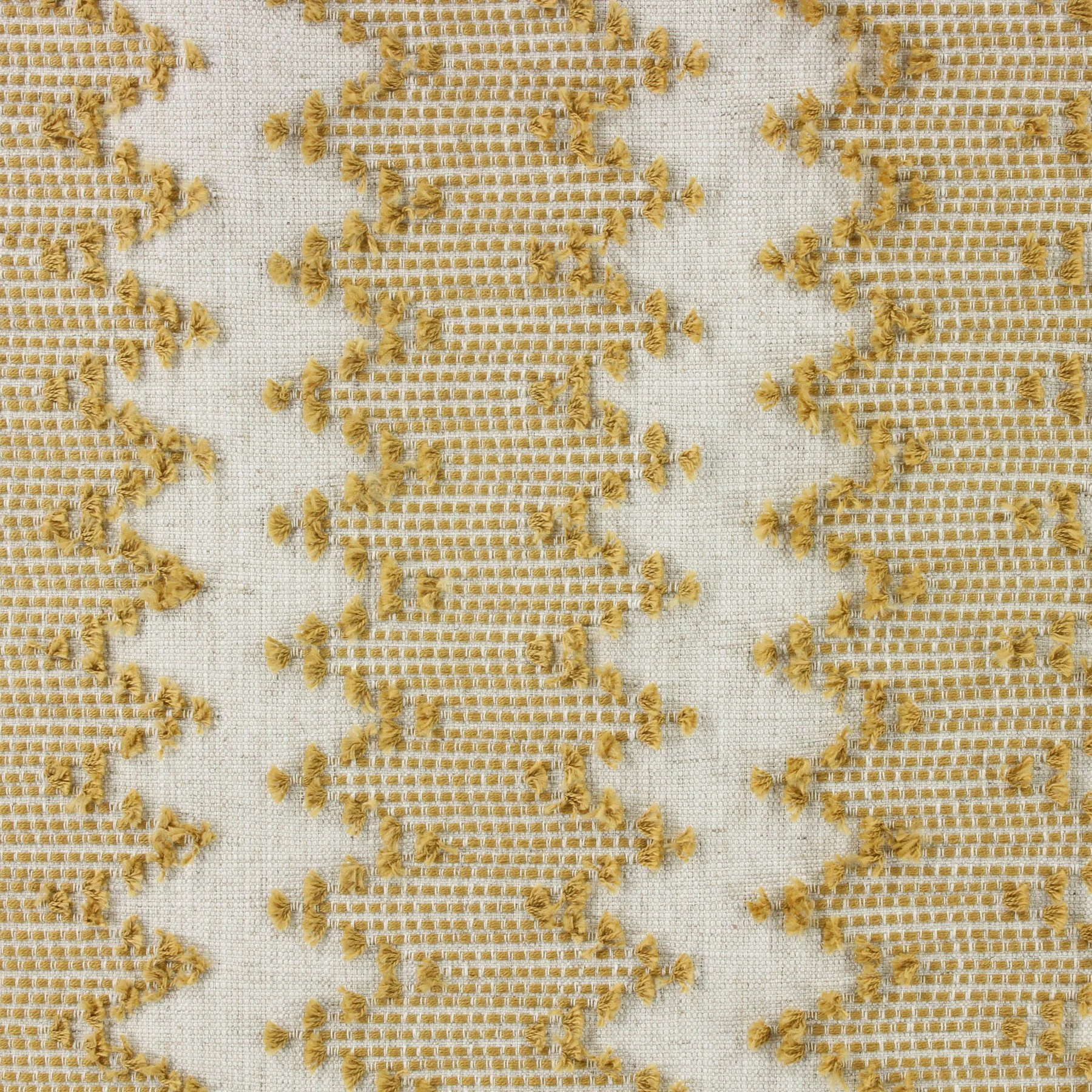 Basque - Golden
