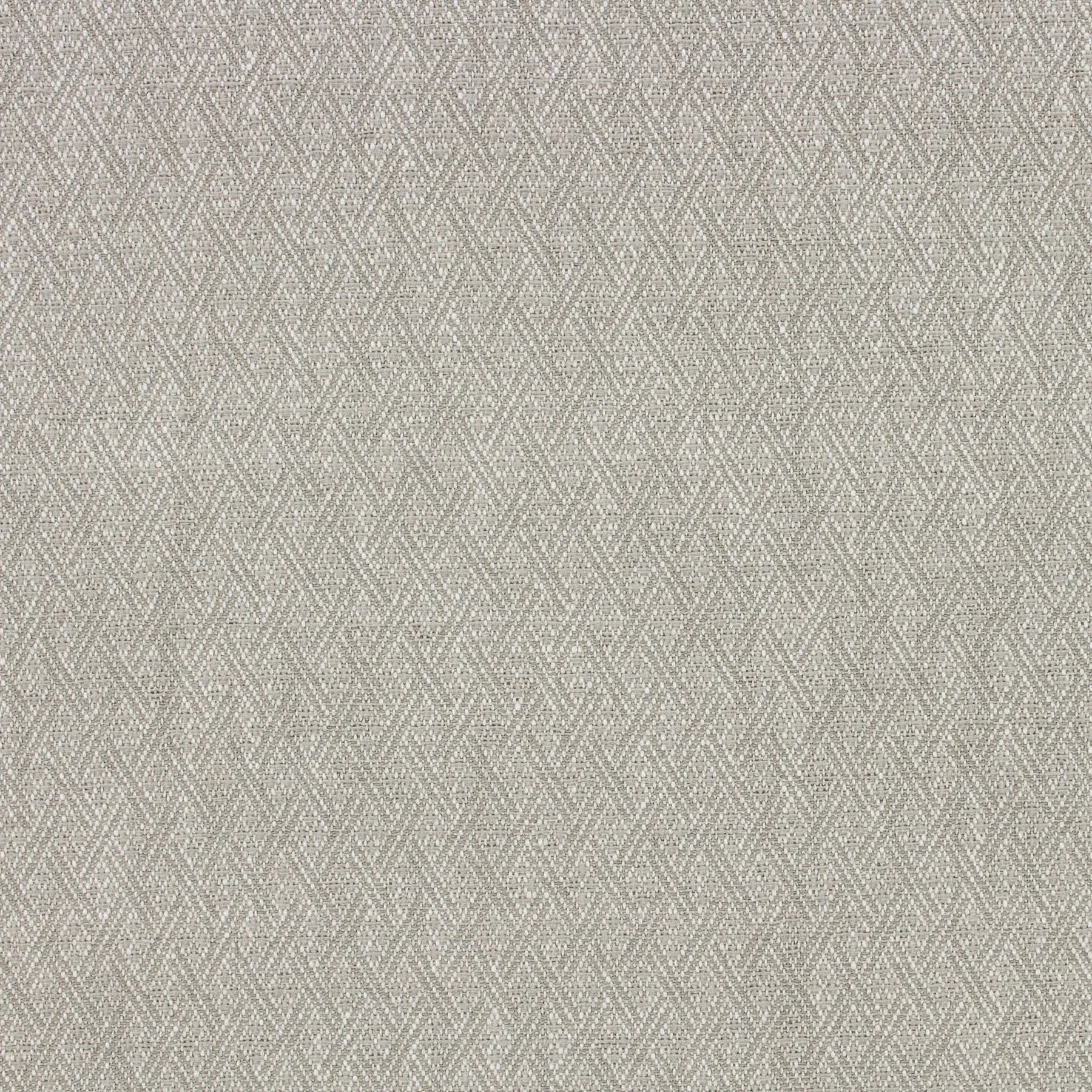 Felipa - Birch