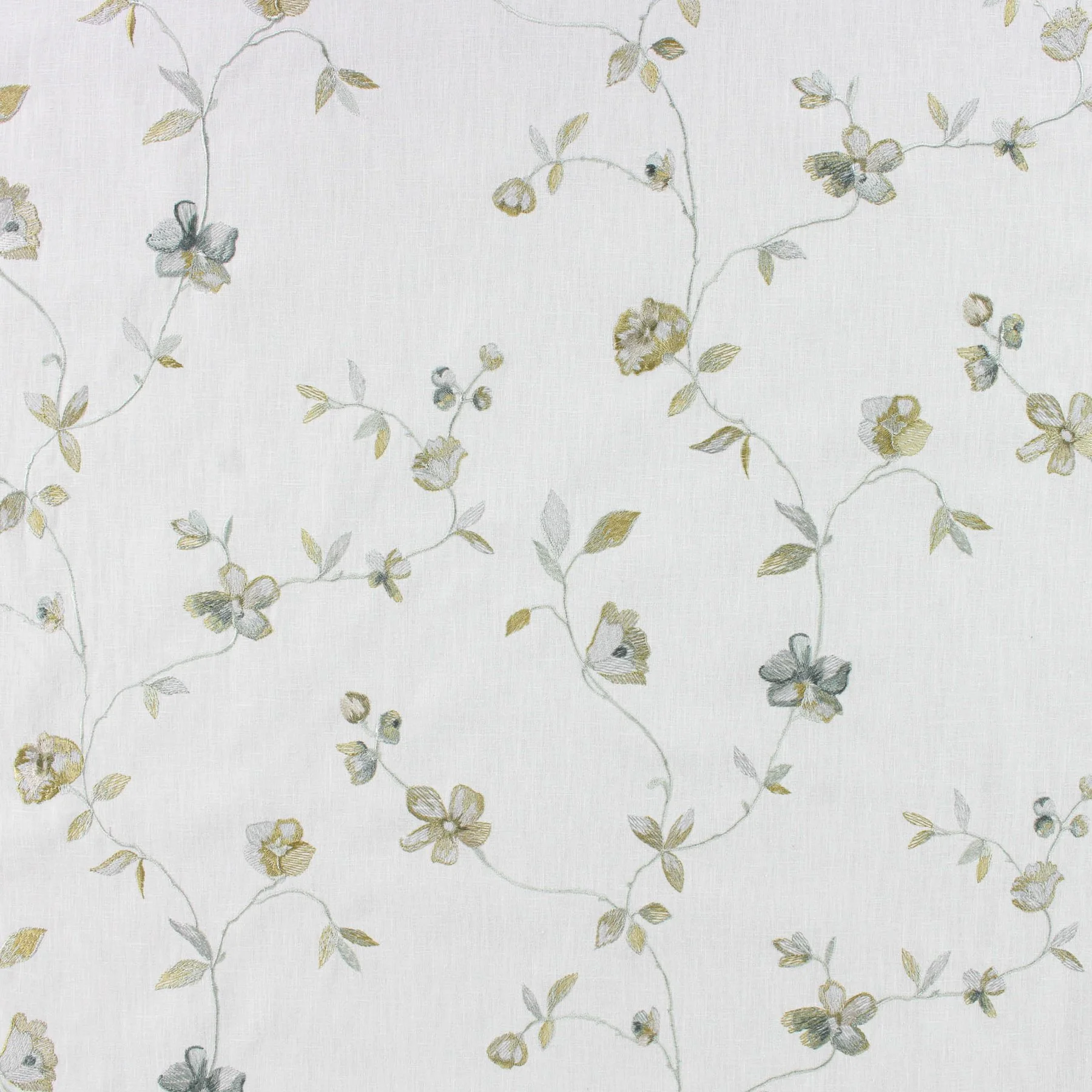 Ottavia - Celadon
