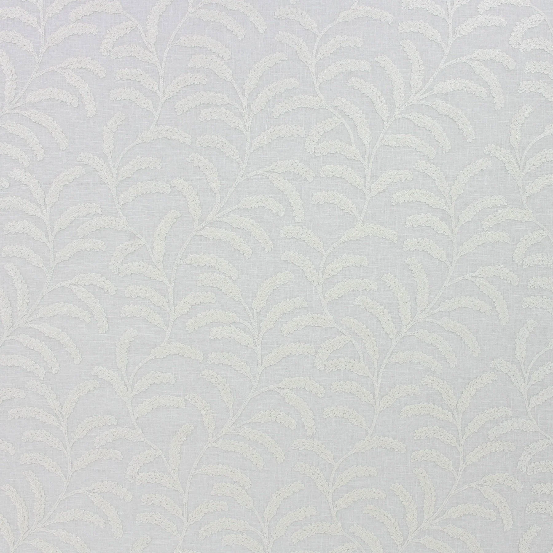 Verify - Cream