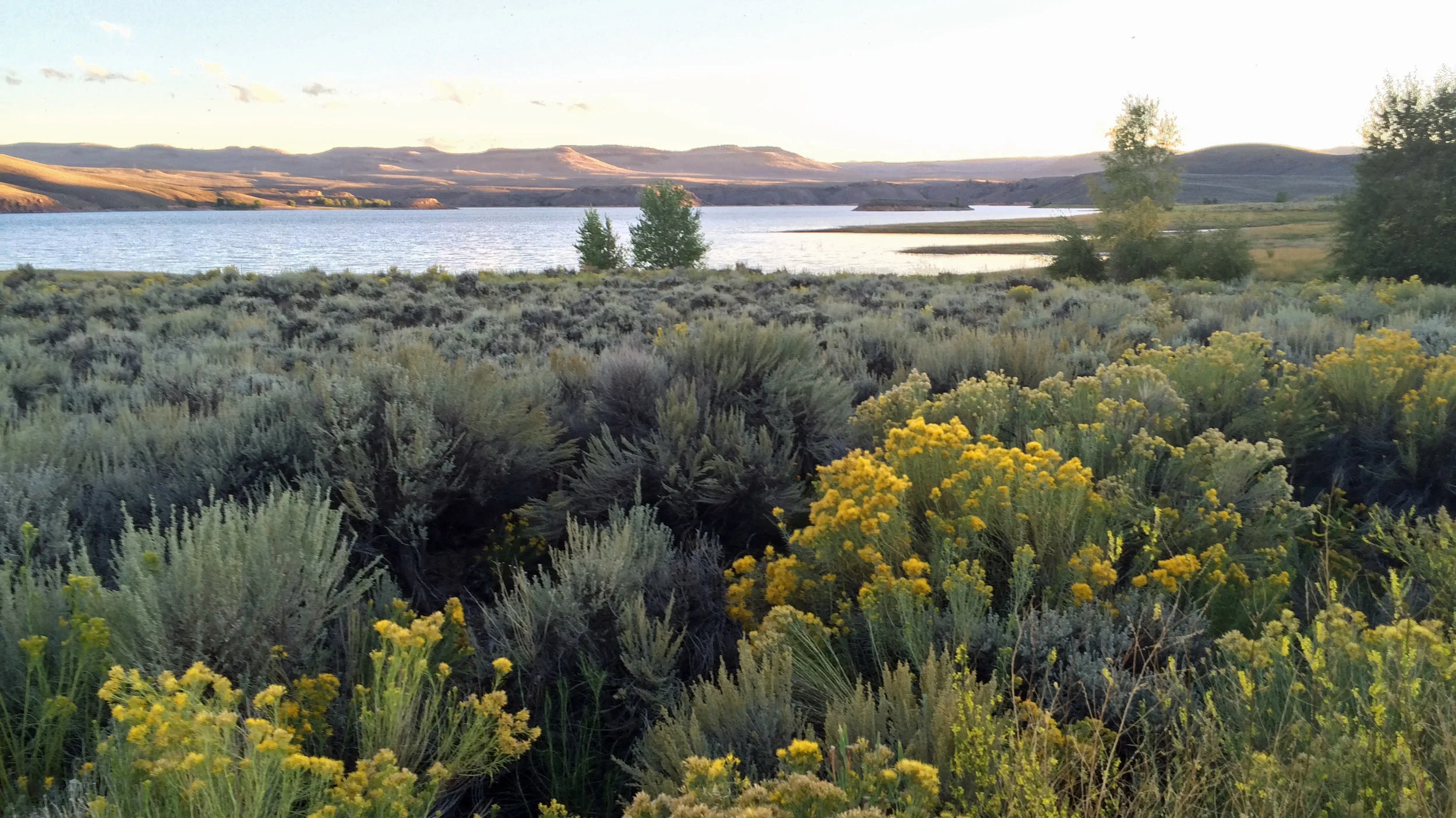 Blue Mesa Resevoir.jpg