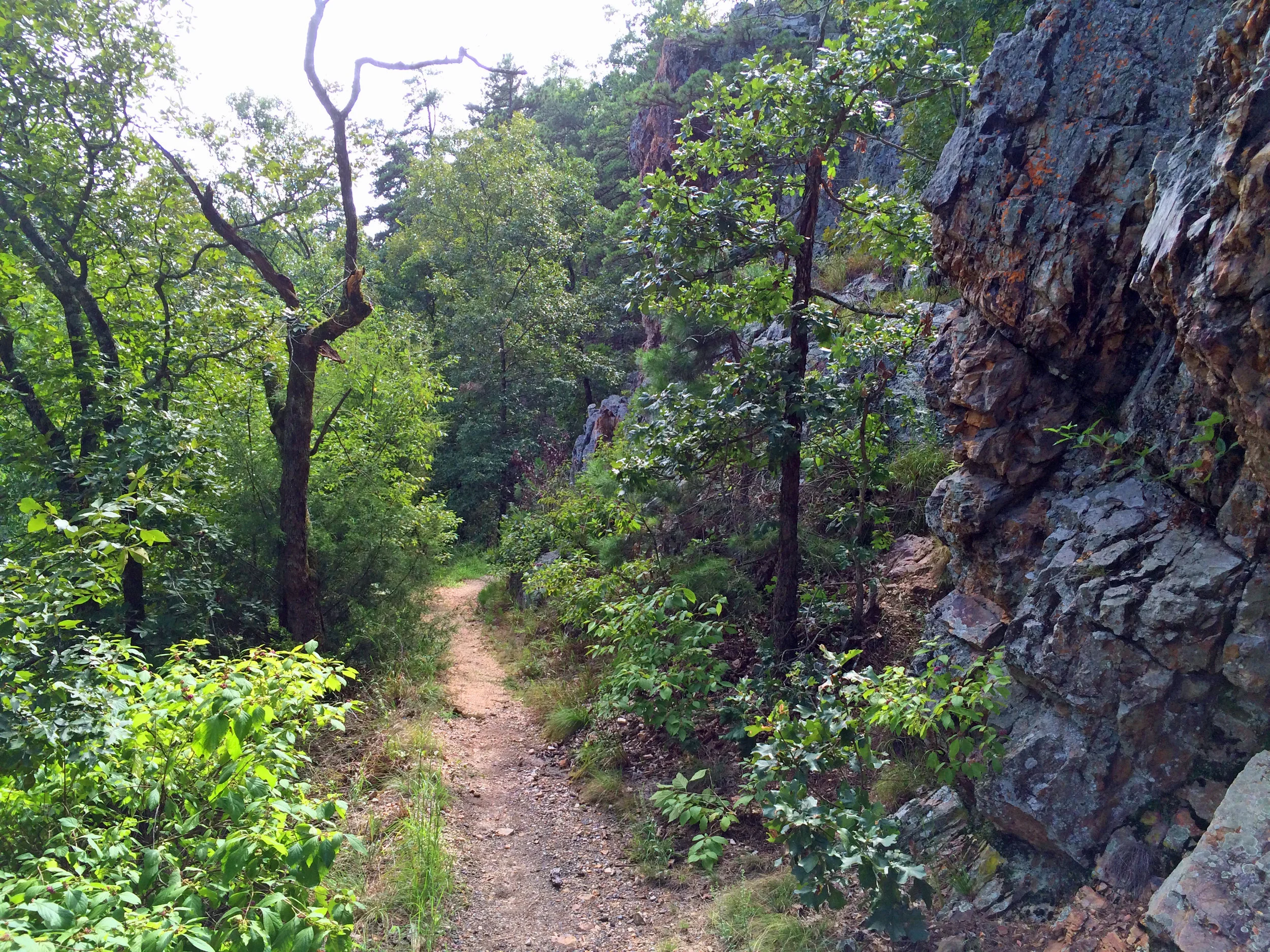 Dogwood Trail, Hot Springs National Park, Arkansas