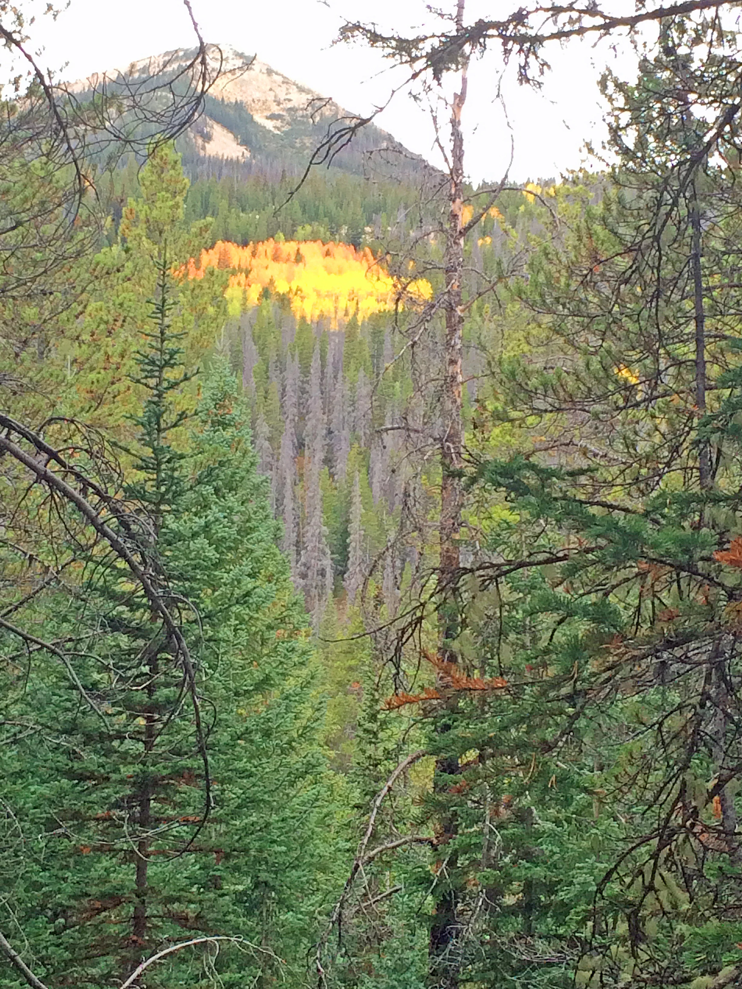 Rocky Mountain National Park