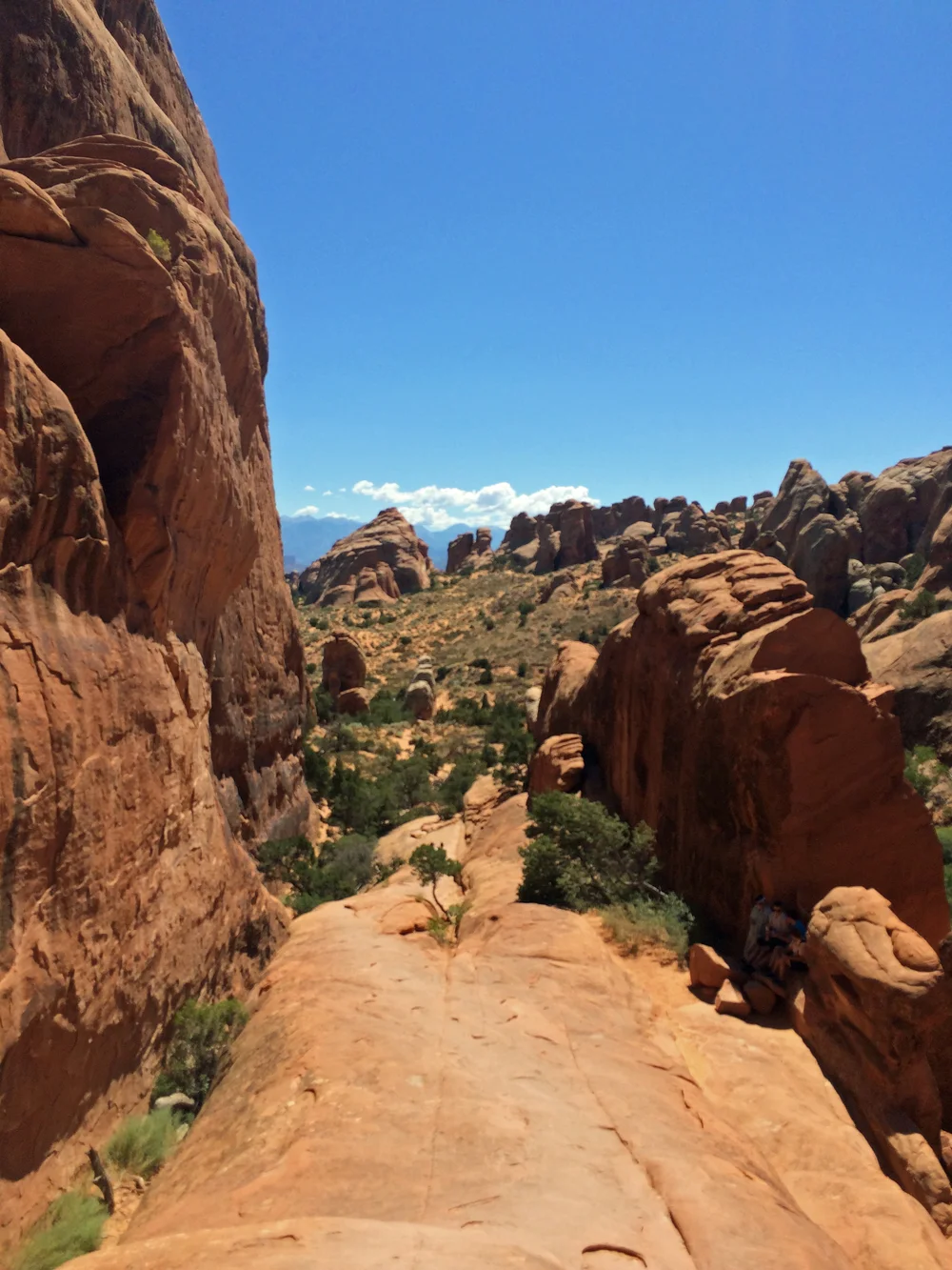 Looking Down on Dbl O trail.jpg