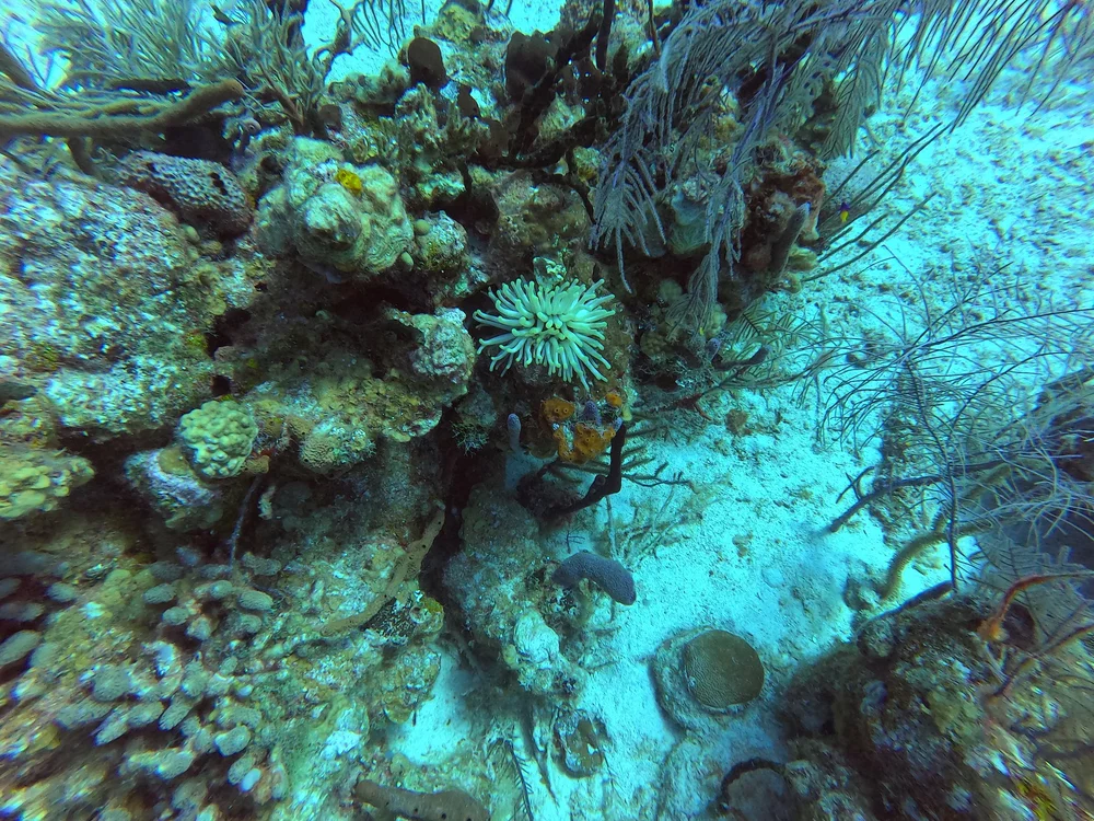 GOPR0724.JPG