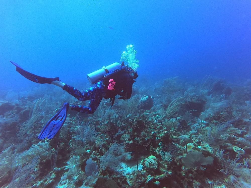 GOPR0709.JPG