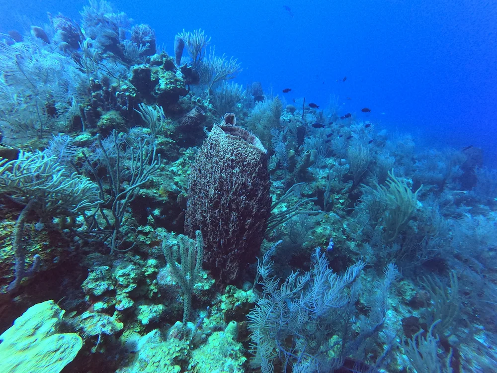 GOPR0695.JPG