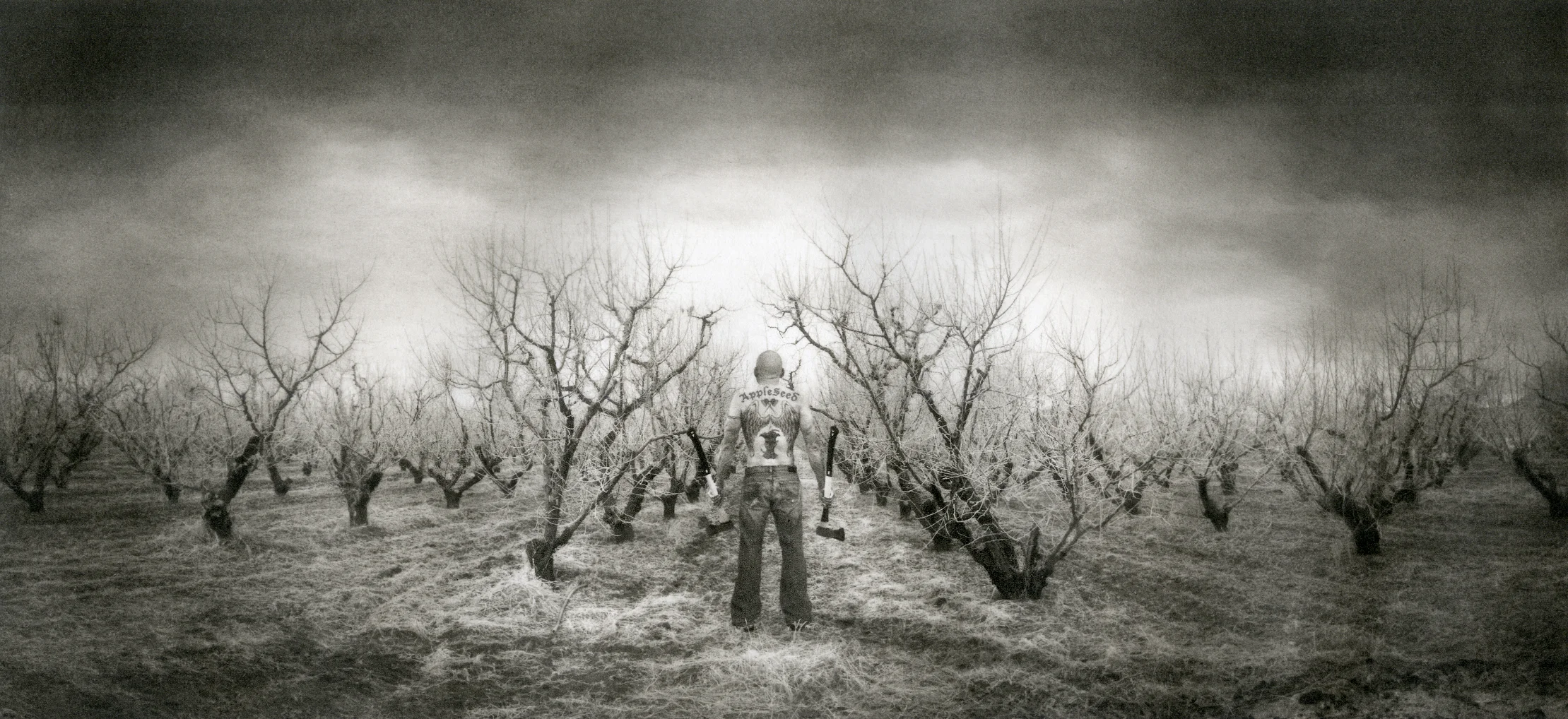Johnny Appleseed Was Not An Only Child