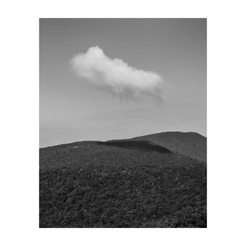 LTD Print