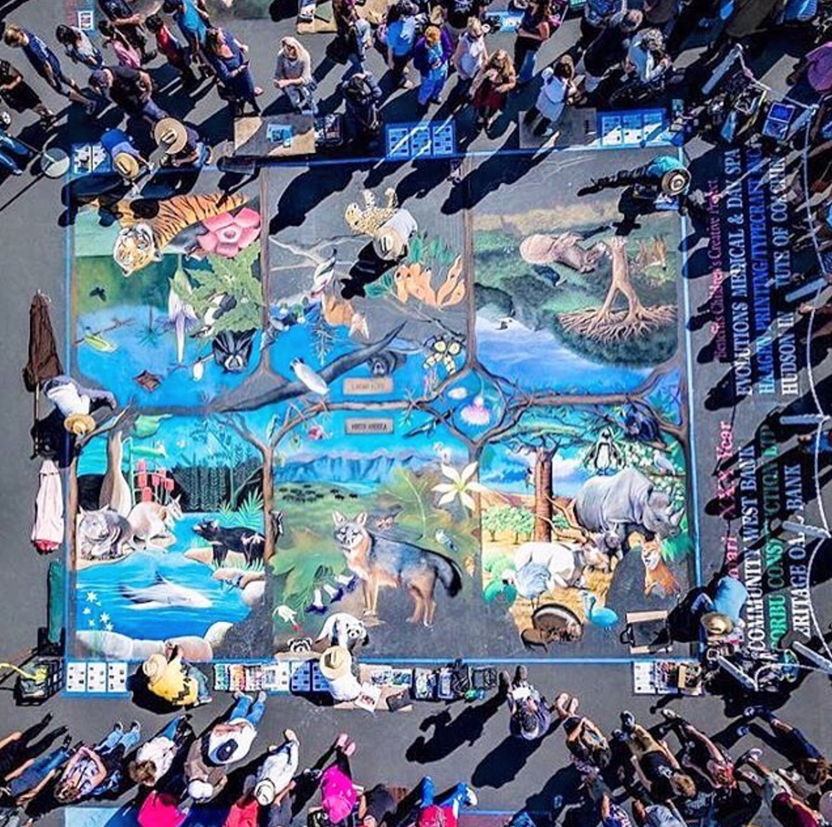 Image: Endangered Species of the World highlighting Nature Conservation | Photo by iMadonnariFestival.com