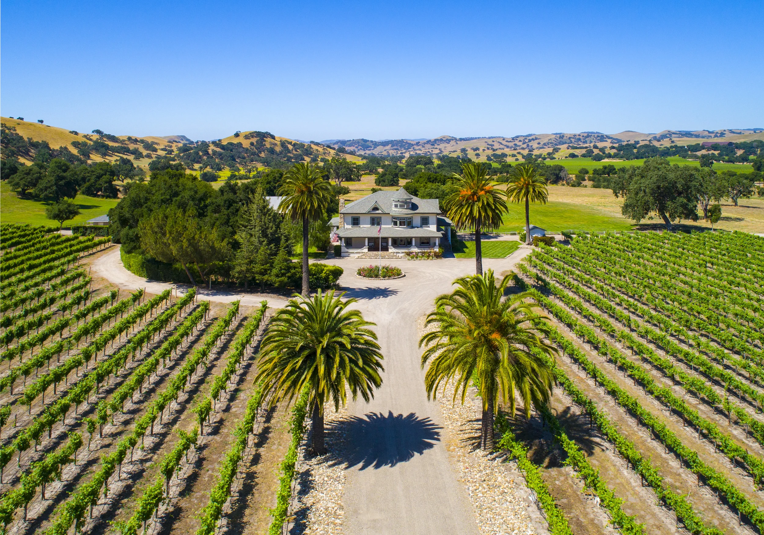 Crossroads Vineyard_0003.jpg