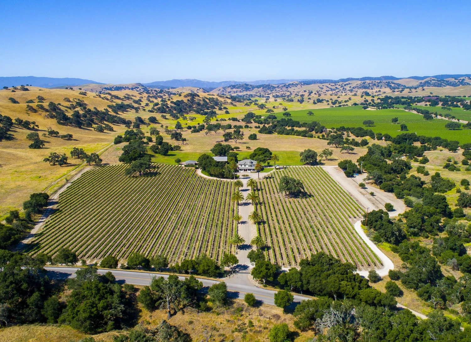 4875_Foxen_Canyon_Road_CrossroadsVineyard_0001.jpg