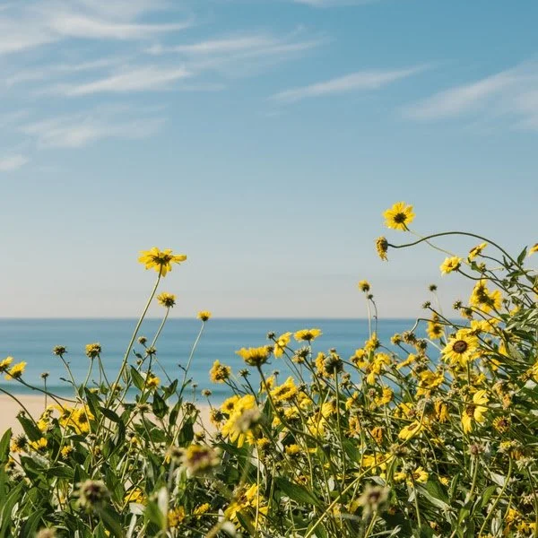 Blossoming Easter: Events in Santa Barbara