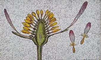 Columbia School Mosaics