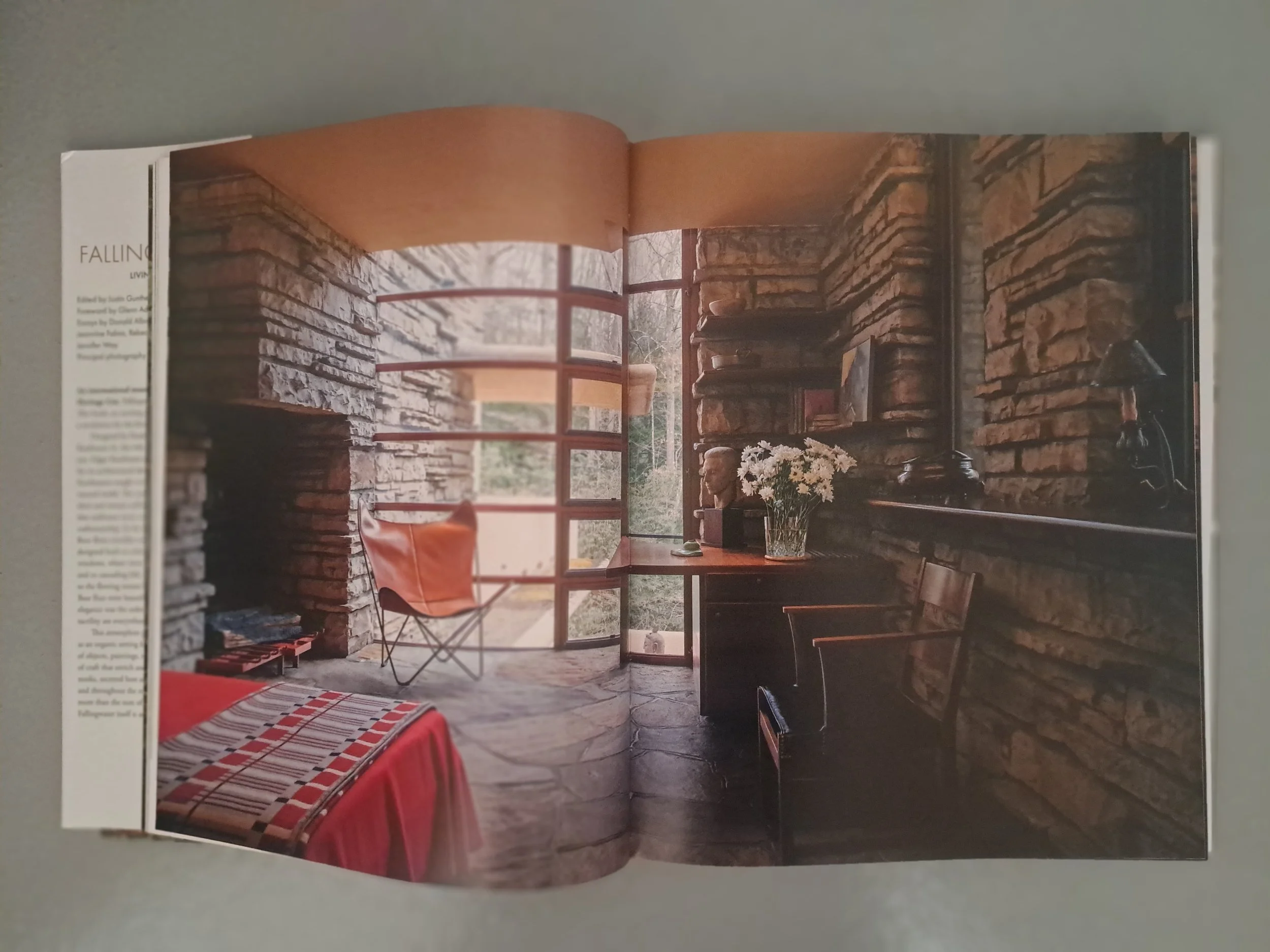 Fallingwater - livng with and in art 5.jpg