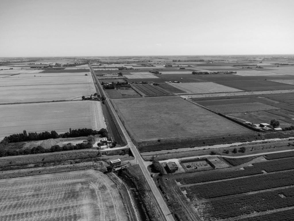 Fenland landscape.jpg