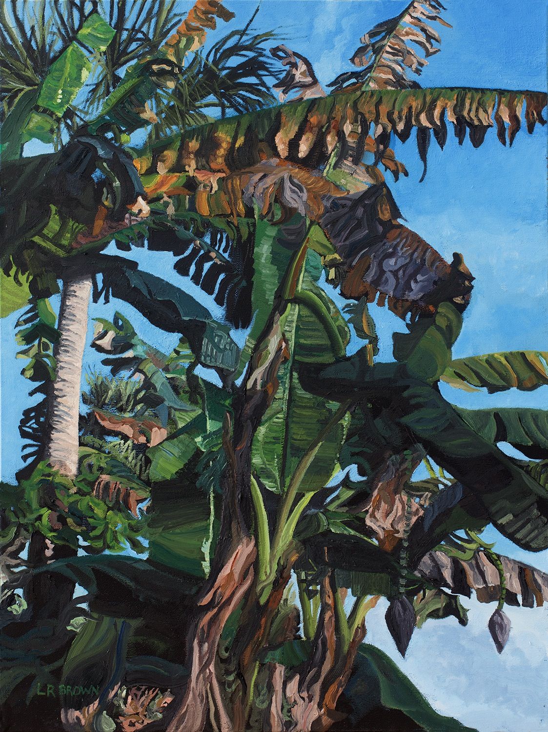 Claire's Bananas.jpg