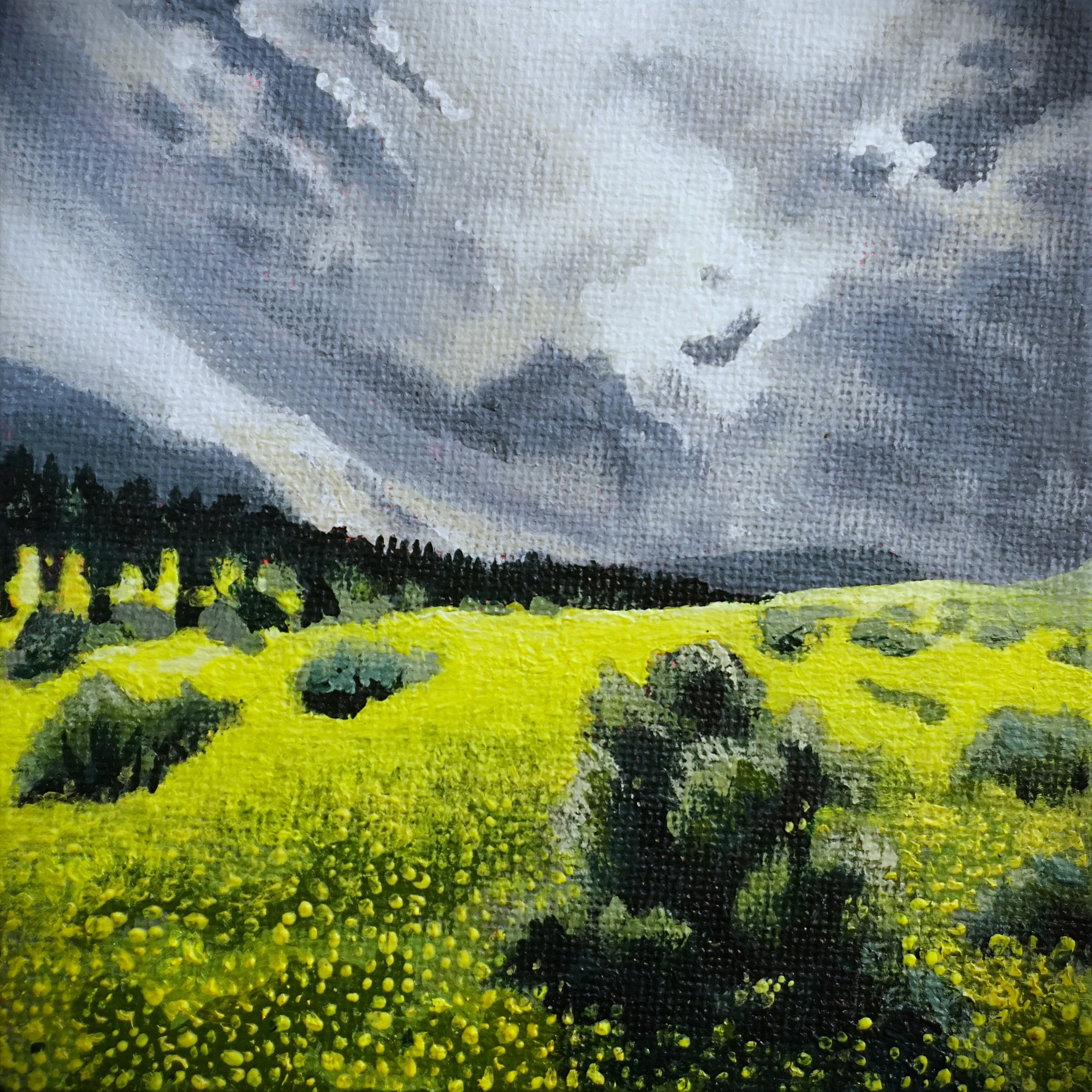 "Neon Field"
4"x4"