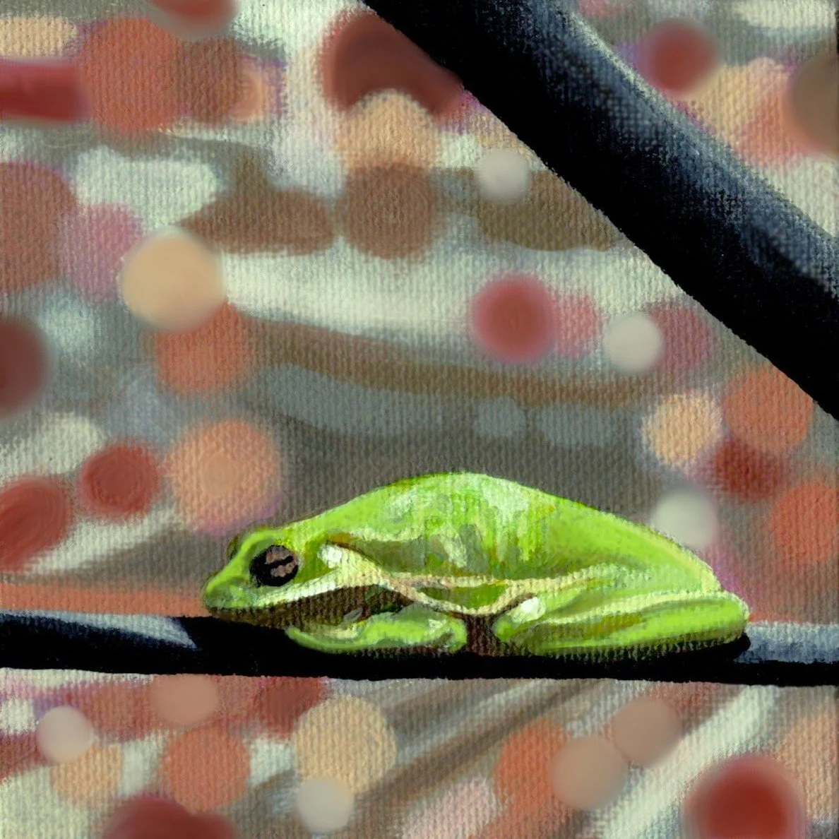 "Frog Nap" 4"x4"