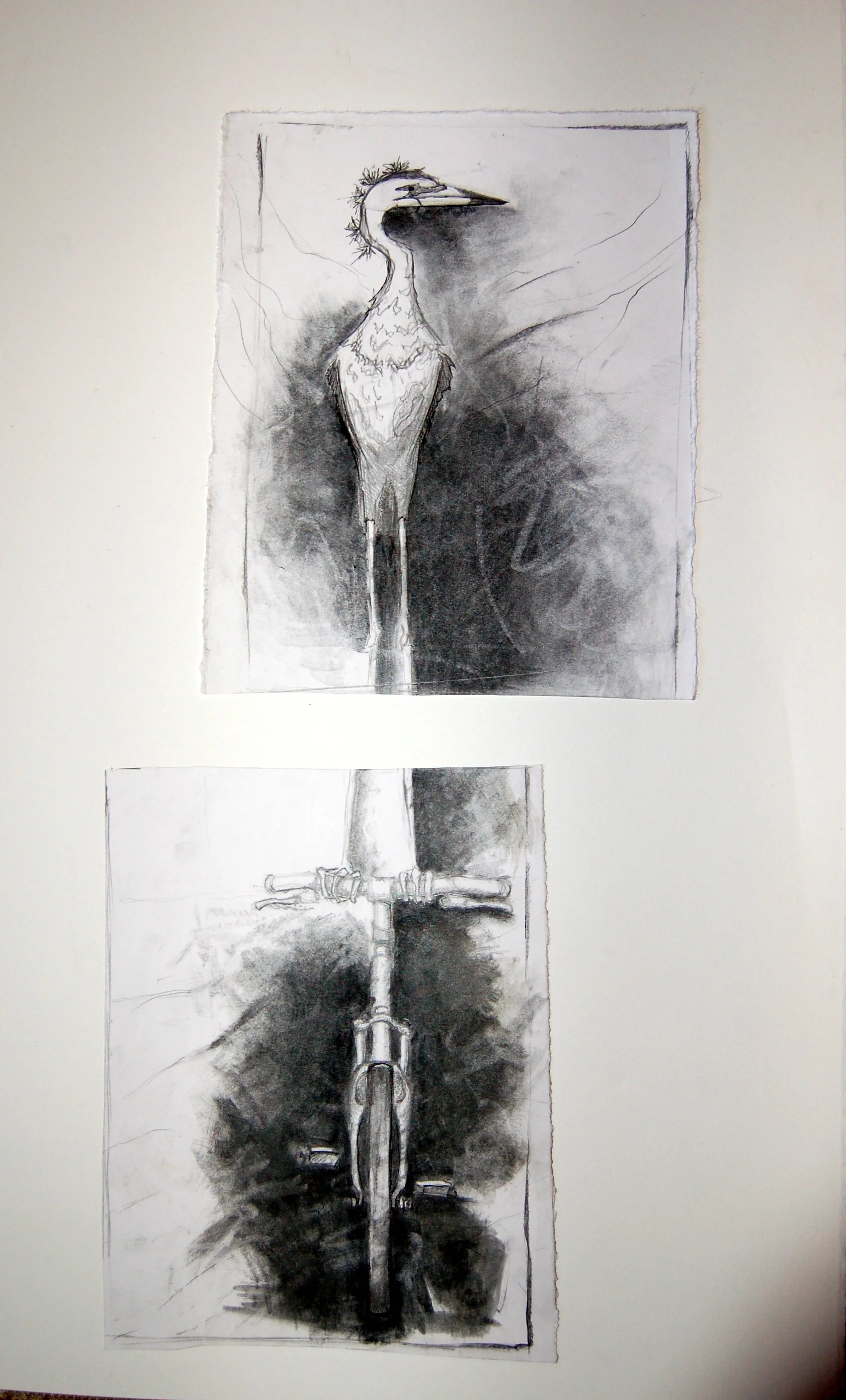 03_Bird and Bike 2013.JPG