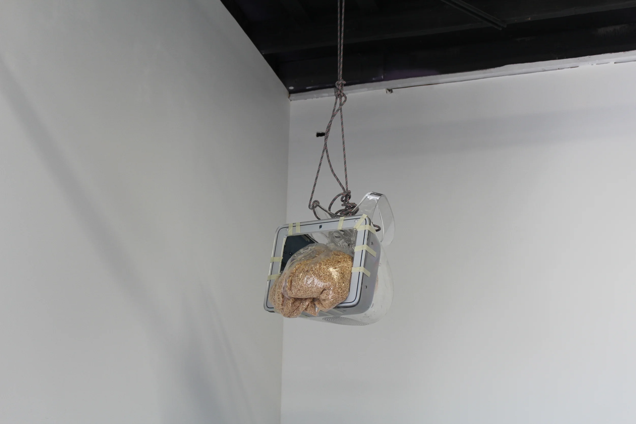 Copy of Copy of IMG_0331.JPG