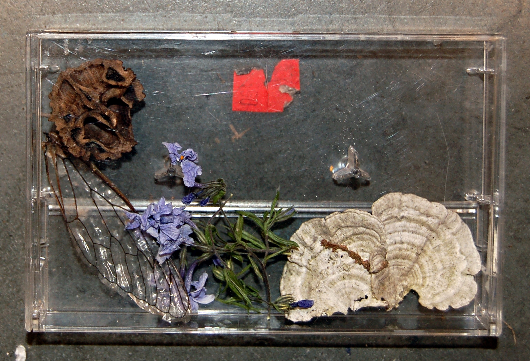 09_Found Objects (detail) 2015.jpg
