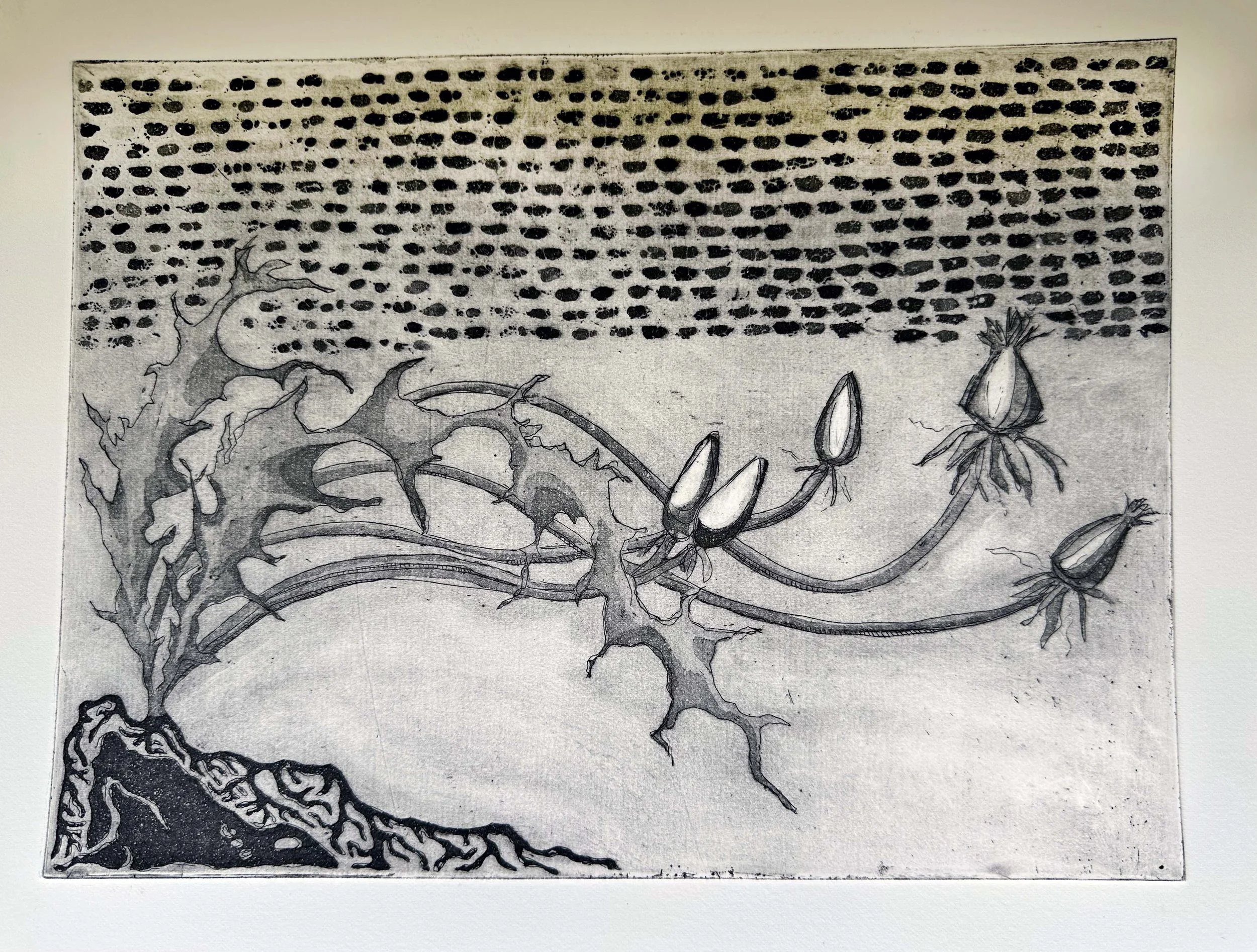 03_Creation_Myth_2_2025.jpg
