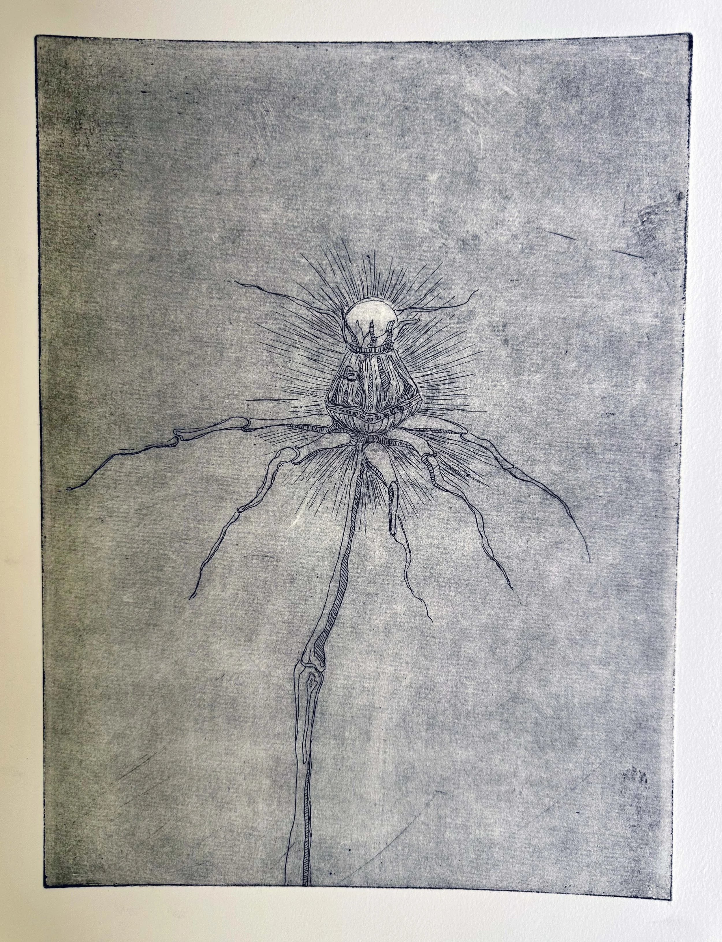 02_Bone_Flower_2025.jpg