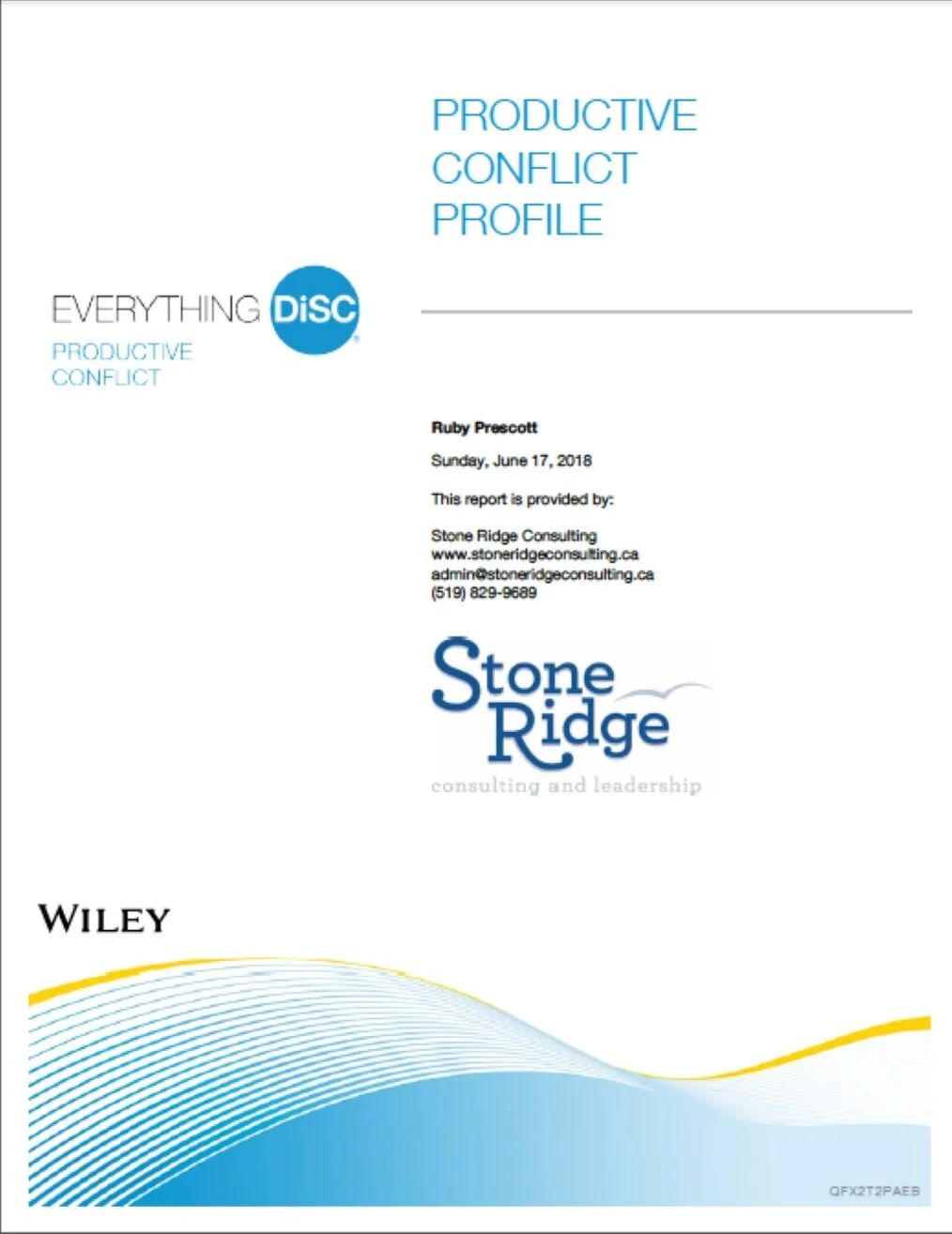 everything-disc-productive-conflict
