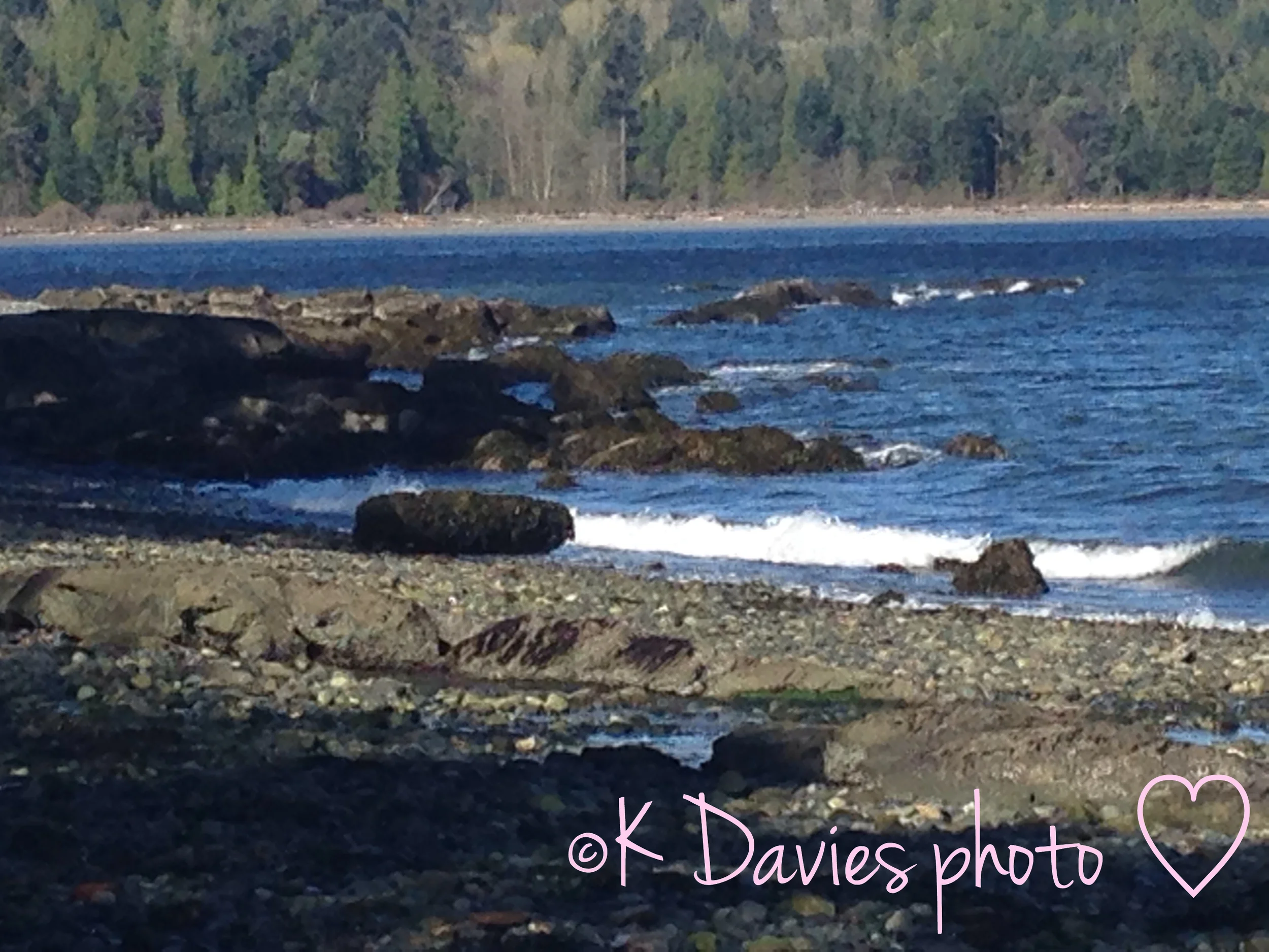 Following your dreams