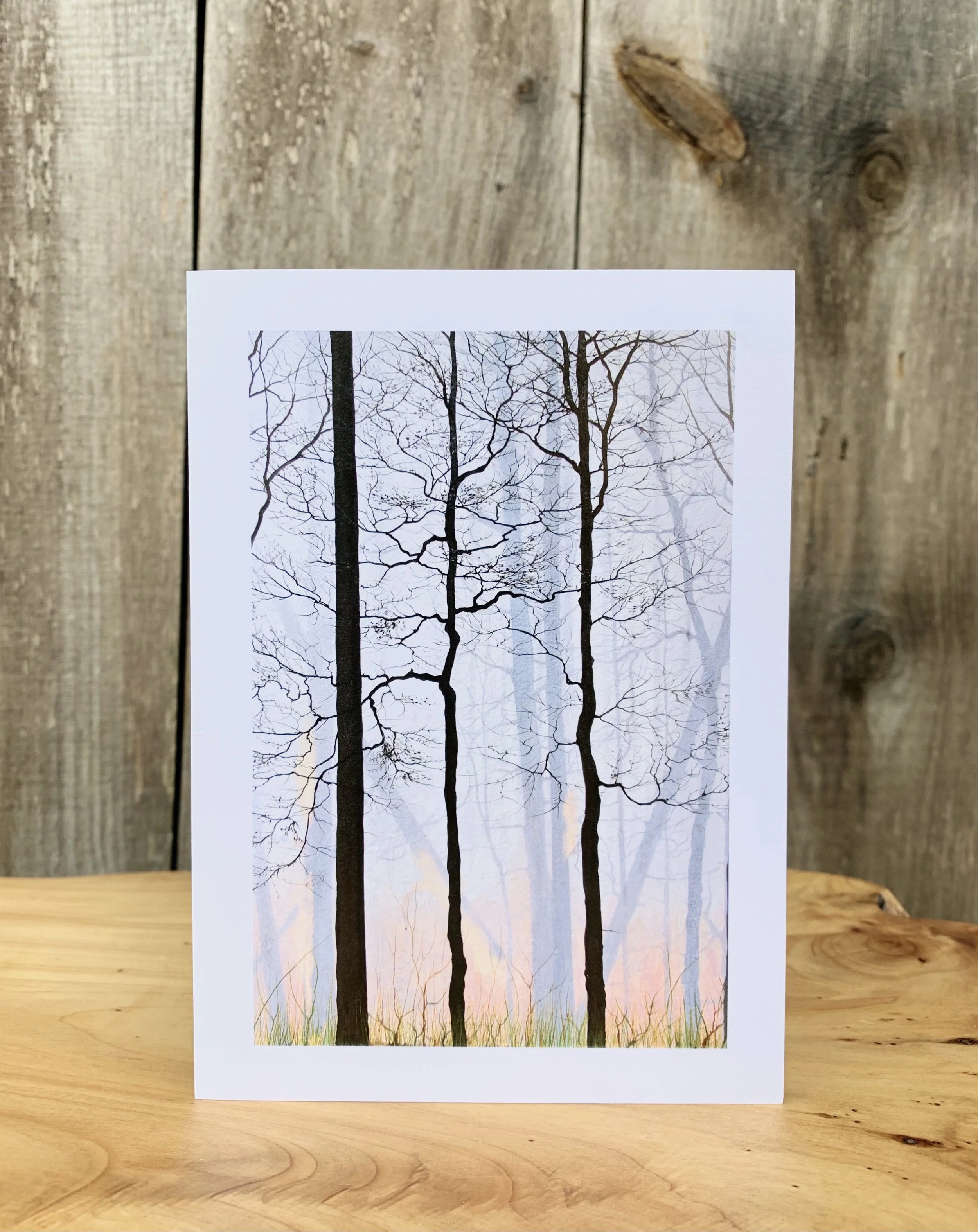 IMG_7013 2 copy 2.jpeg