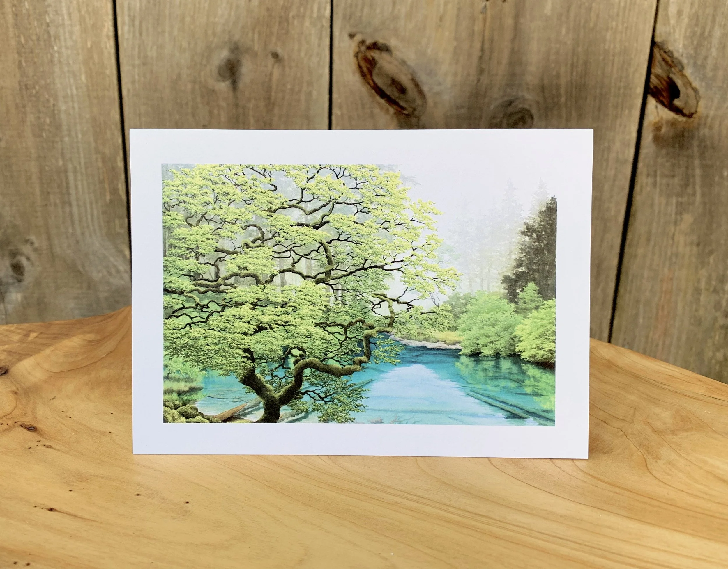 IMG_6806 copy 2 2.jpeg