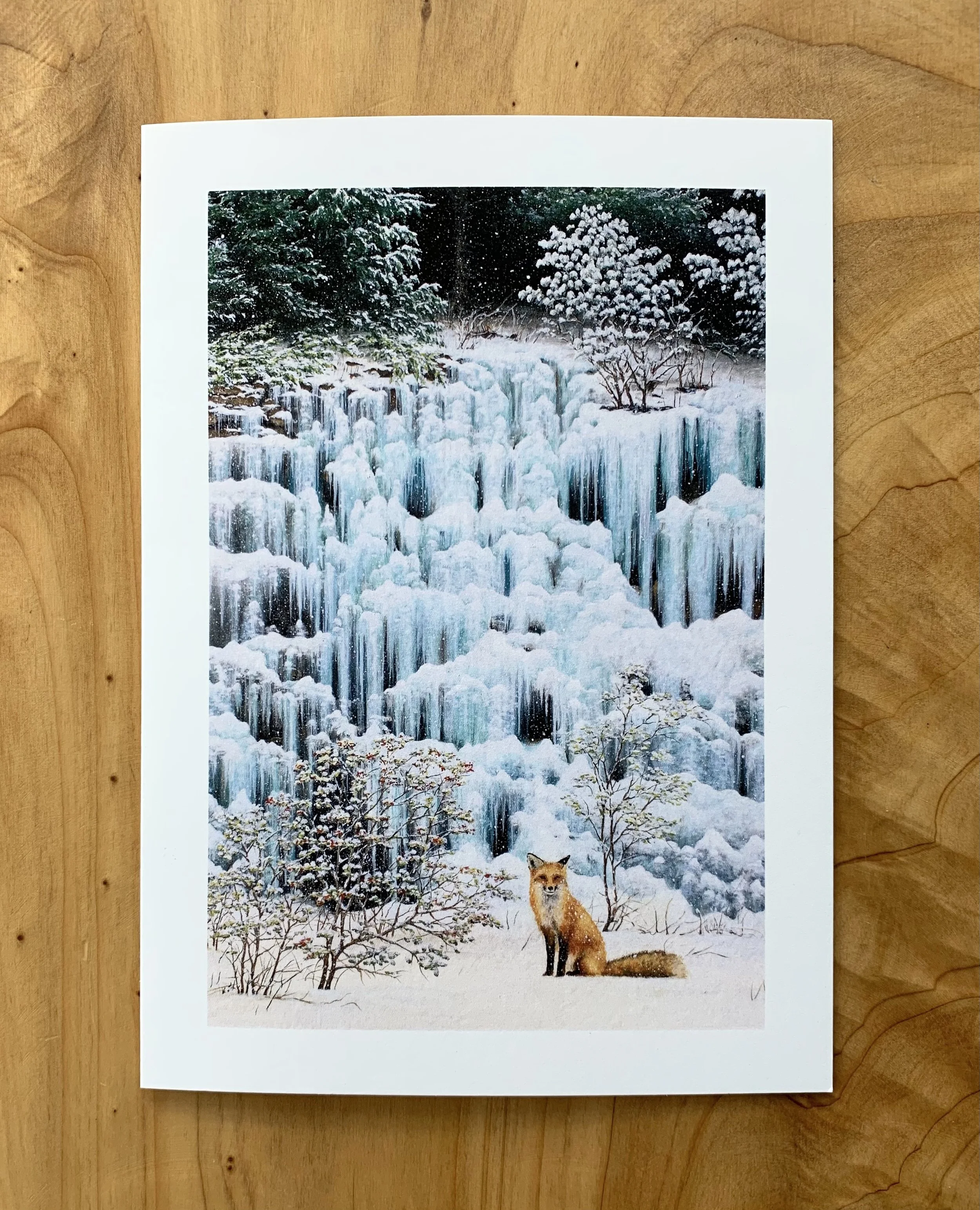 IMG_6975 copy 2.jpeg